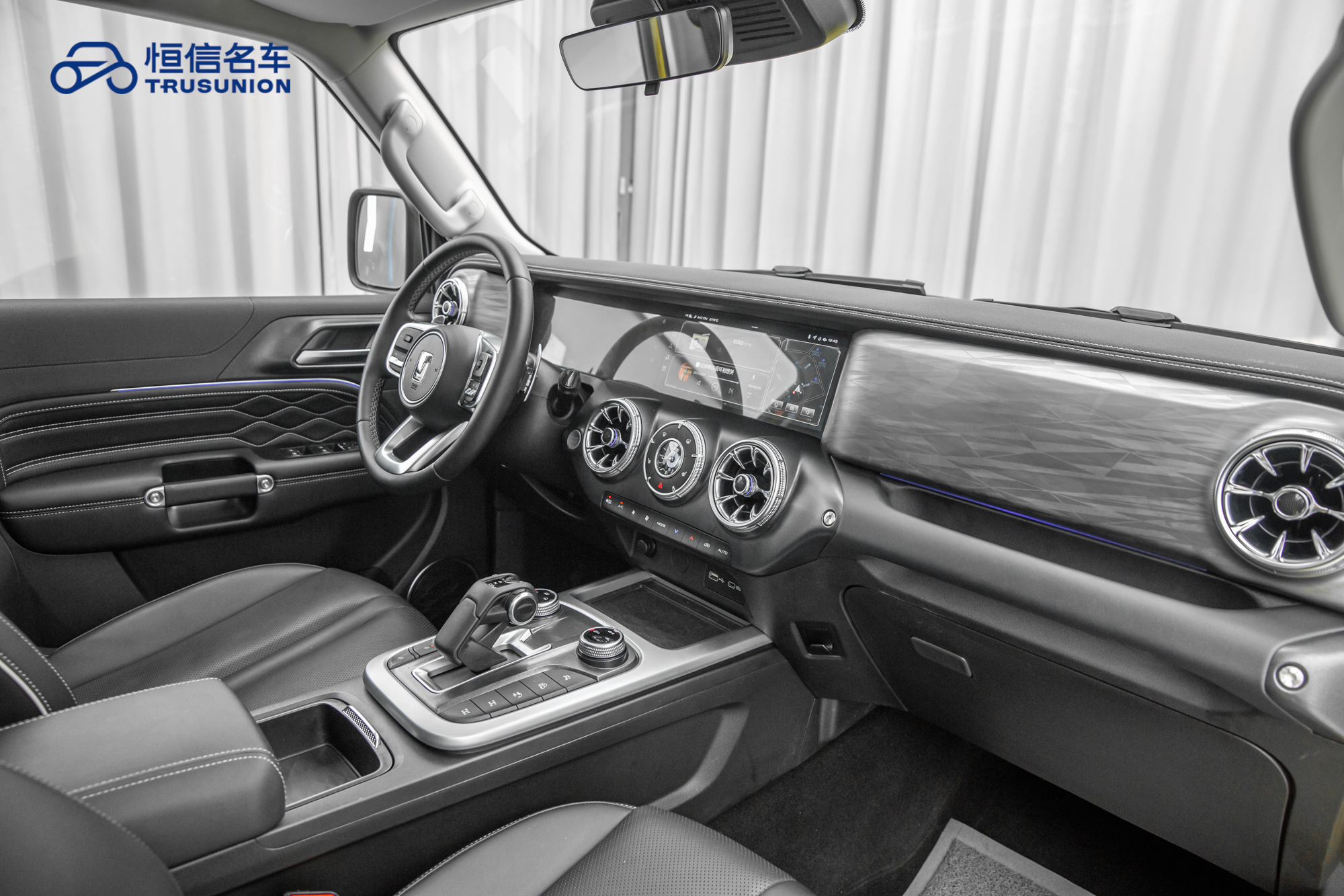 Tank 300 2023 car image #14