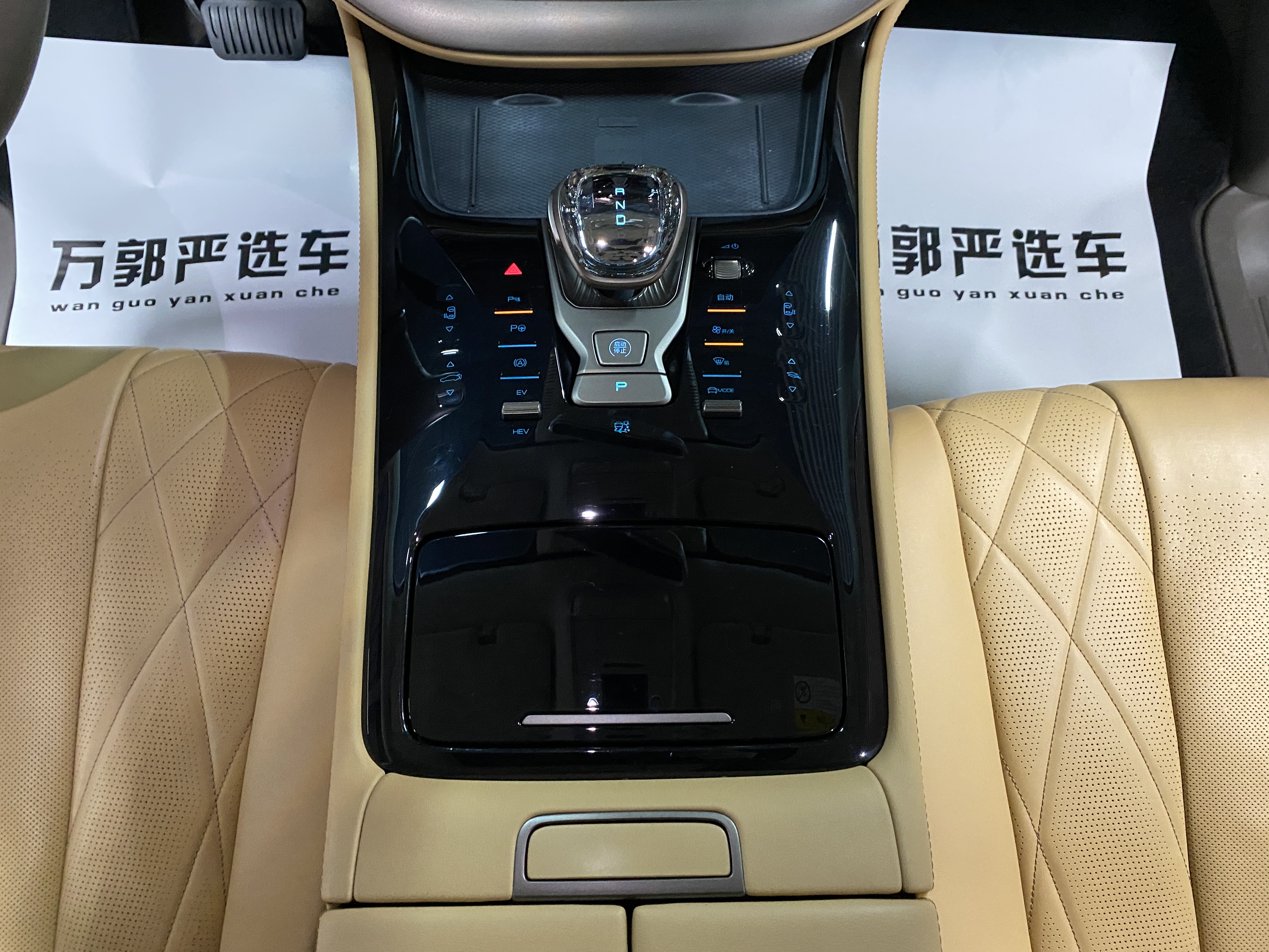 Denza D9 2023 изображение автомобиля #14