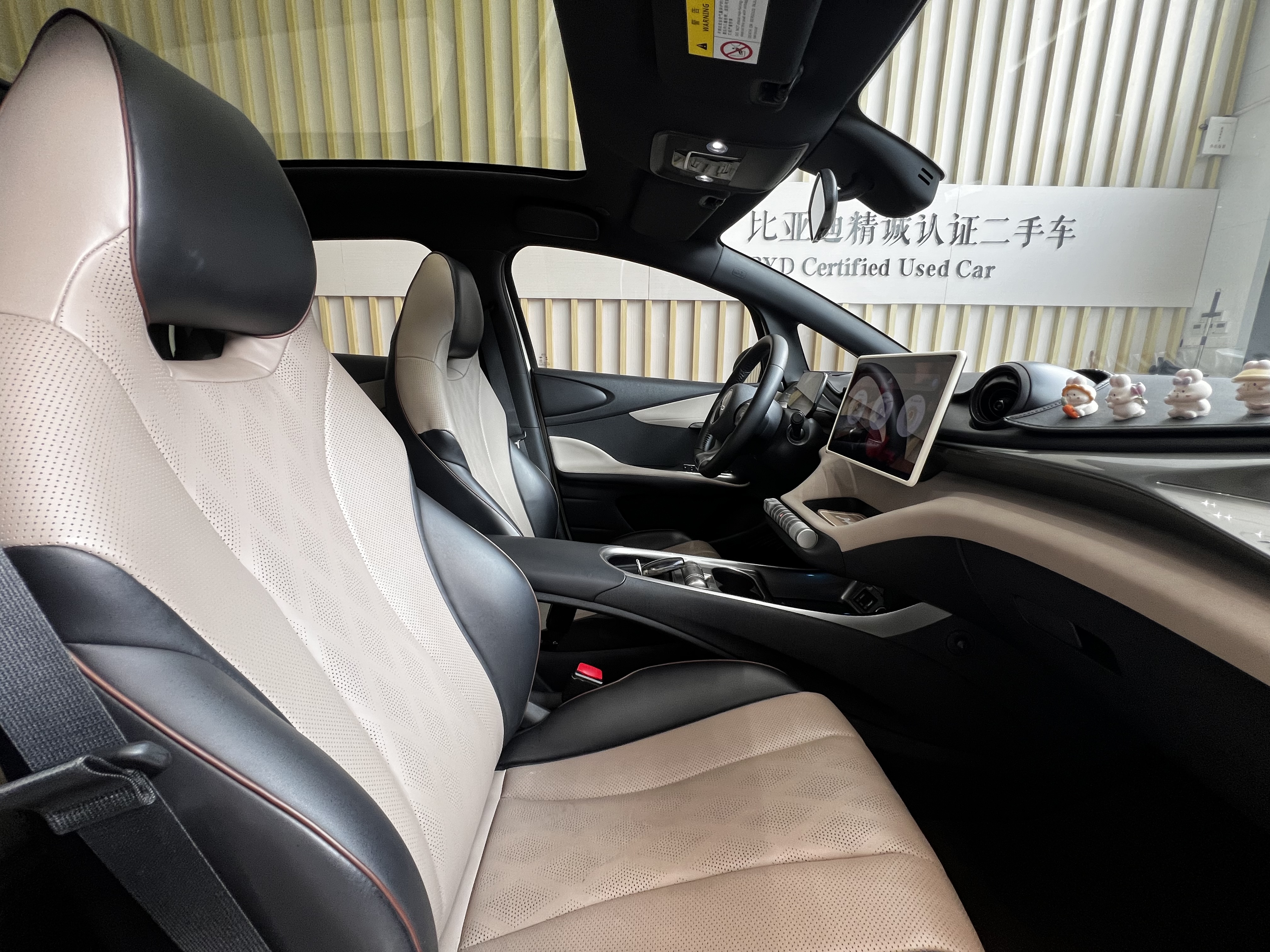 BYD Dolphin 2023 car image #14