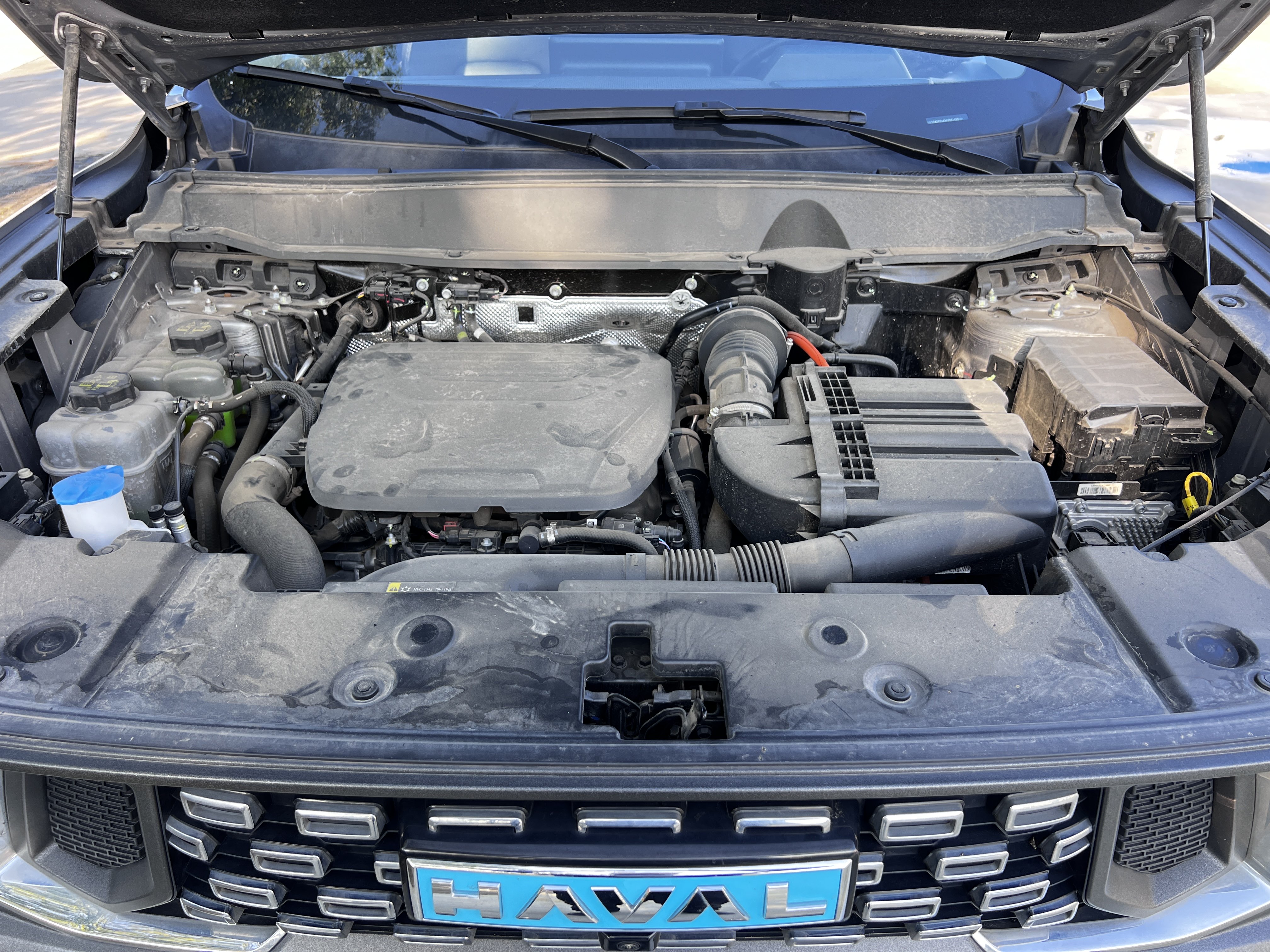 Haval X Dog 2 New Energy 2023 car image #14