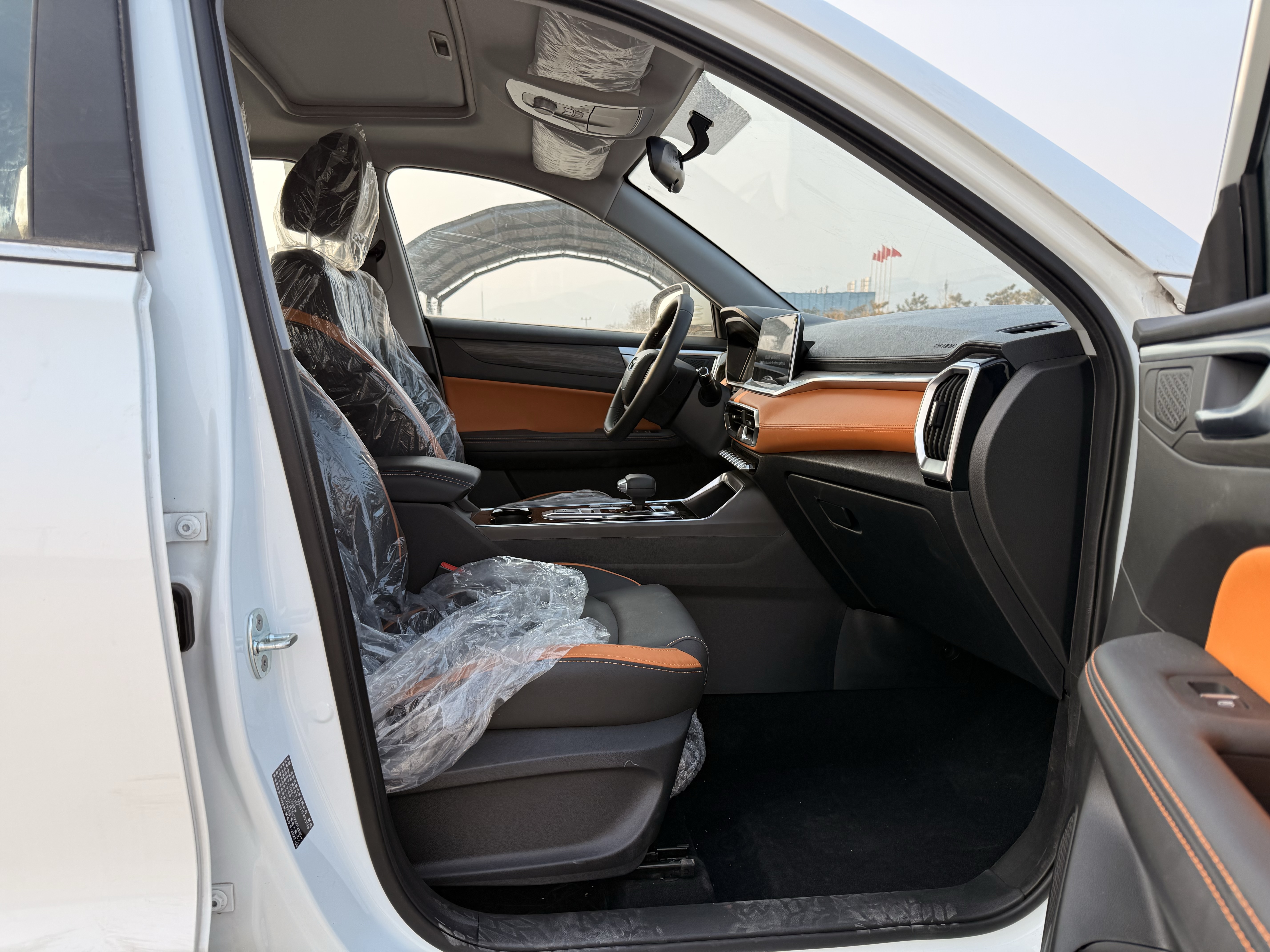 Showjet Pro 2025 immagine di auto #14