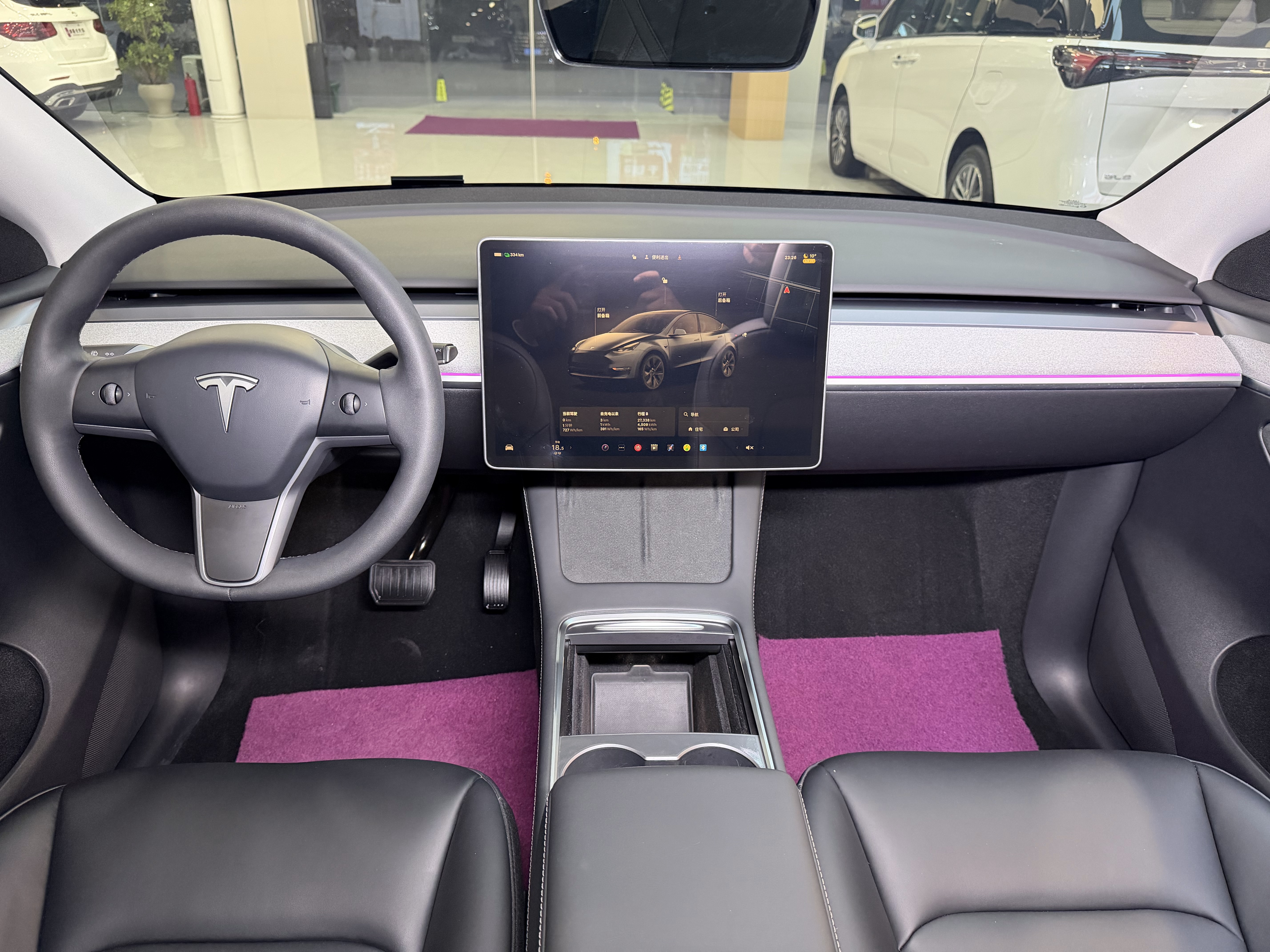 Tesla Model Y 2024 car image #14