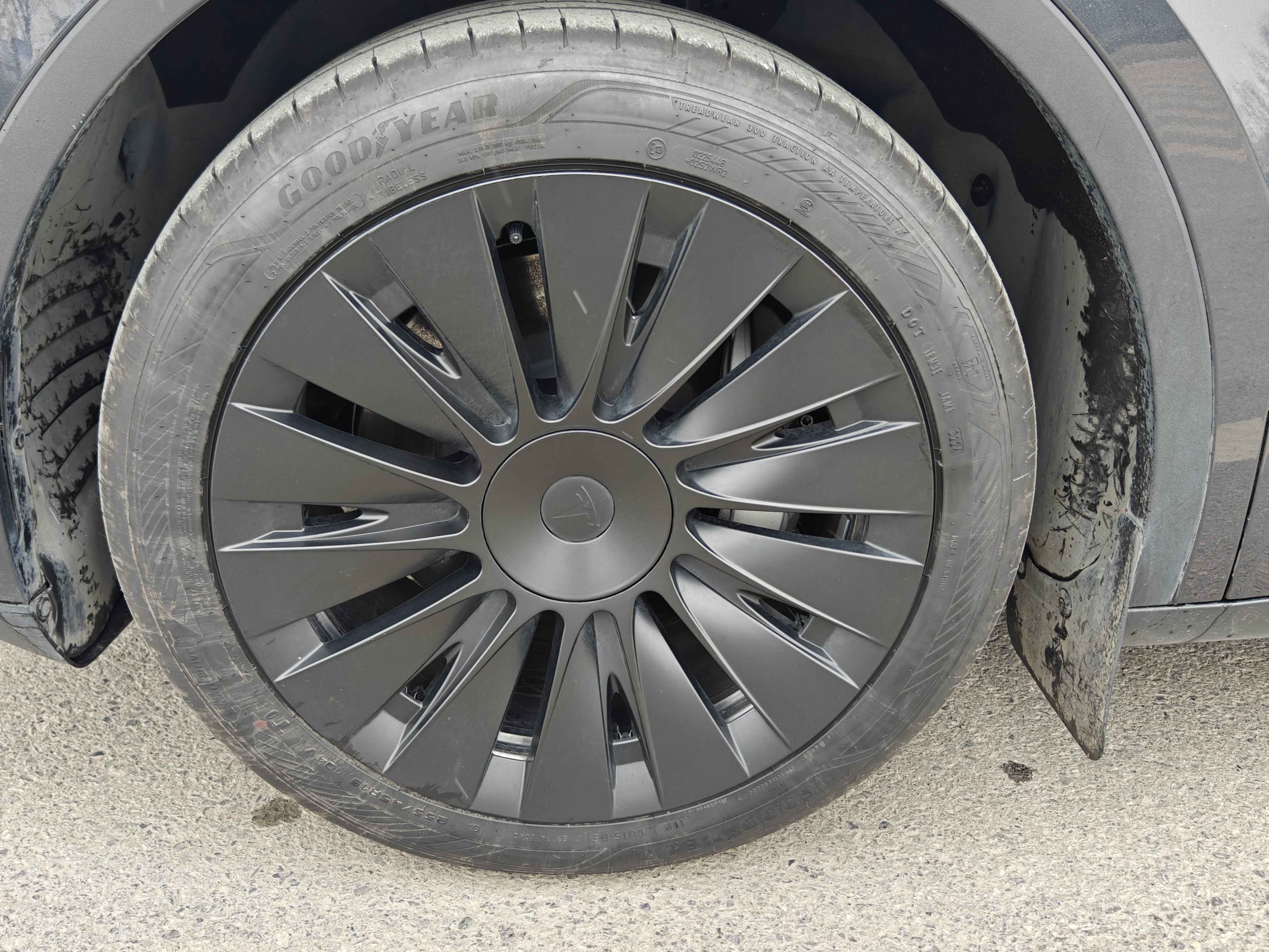 Tesla Model Y 2024 car image #14