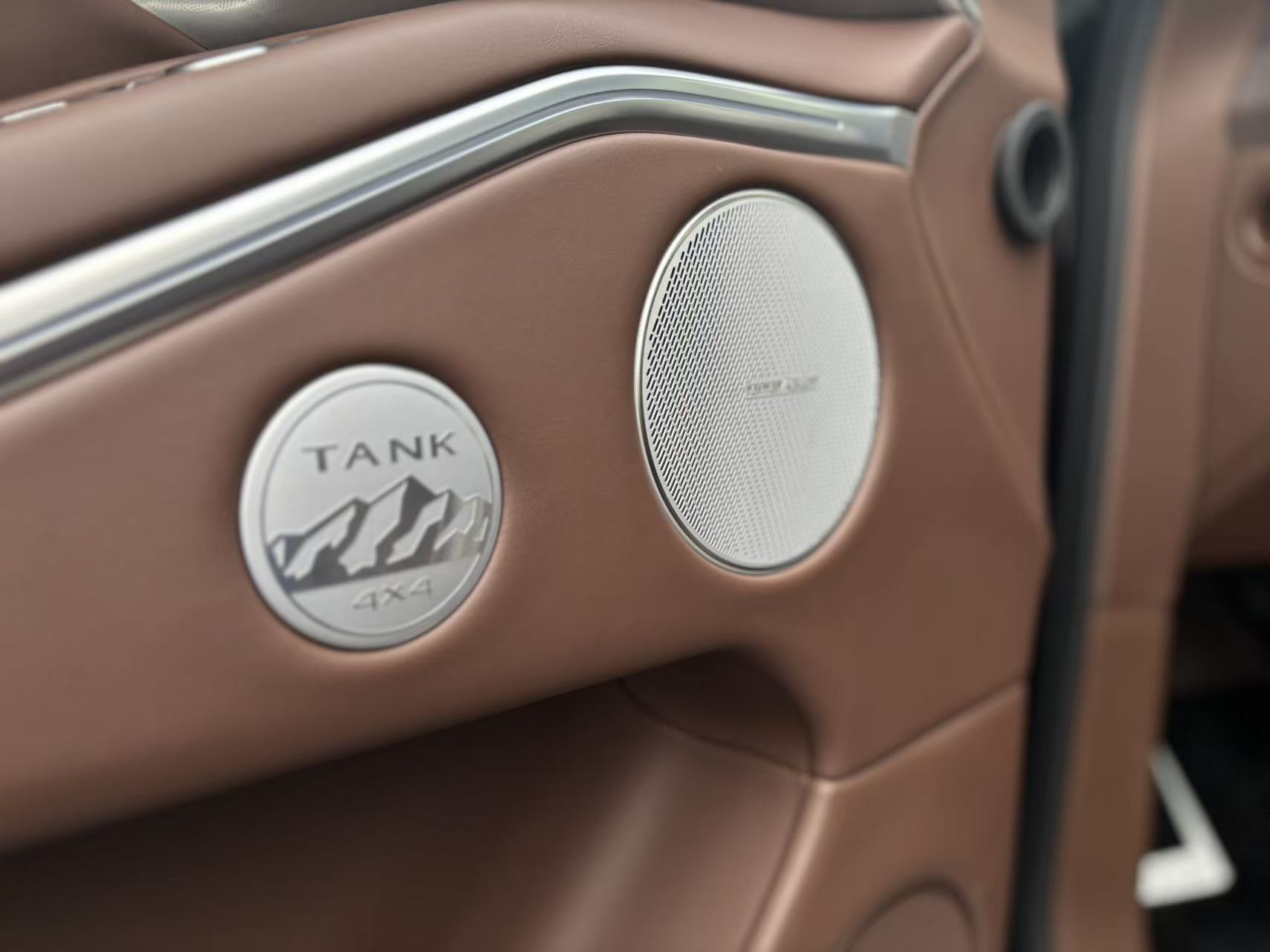 Tank 700 New Energy 2024 immagine di auto #14