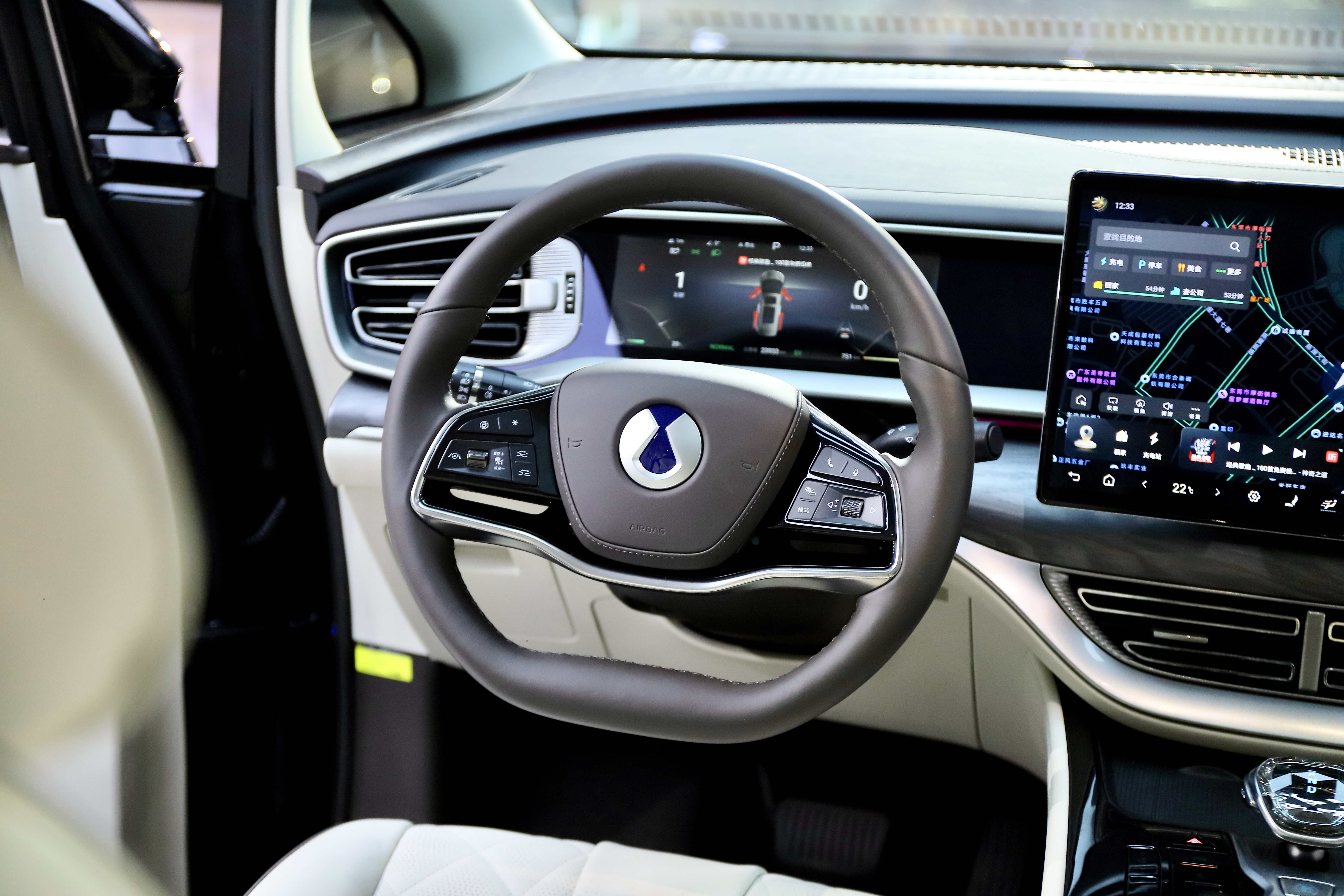 Denza D9 2024 immagine di auto #14