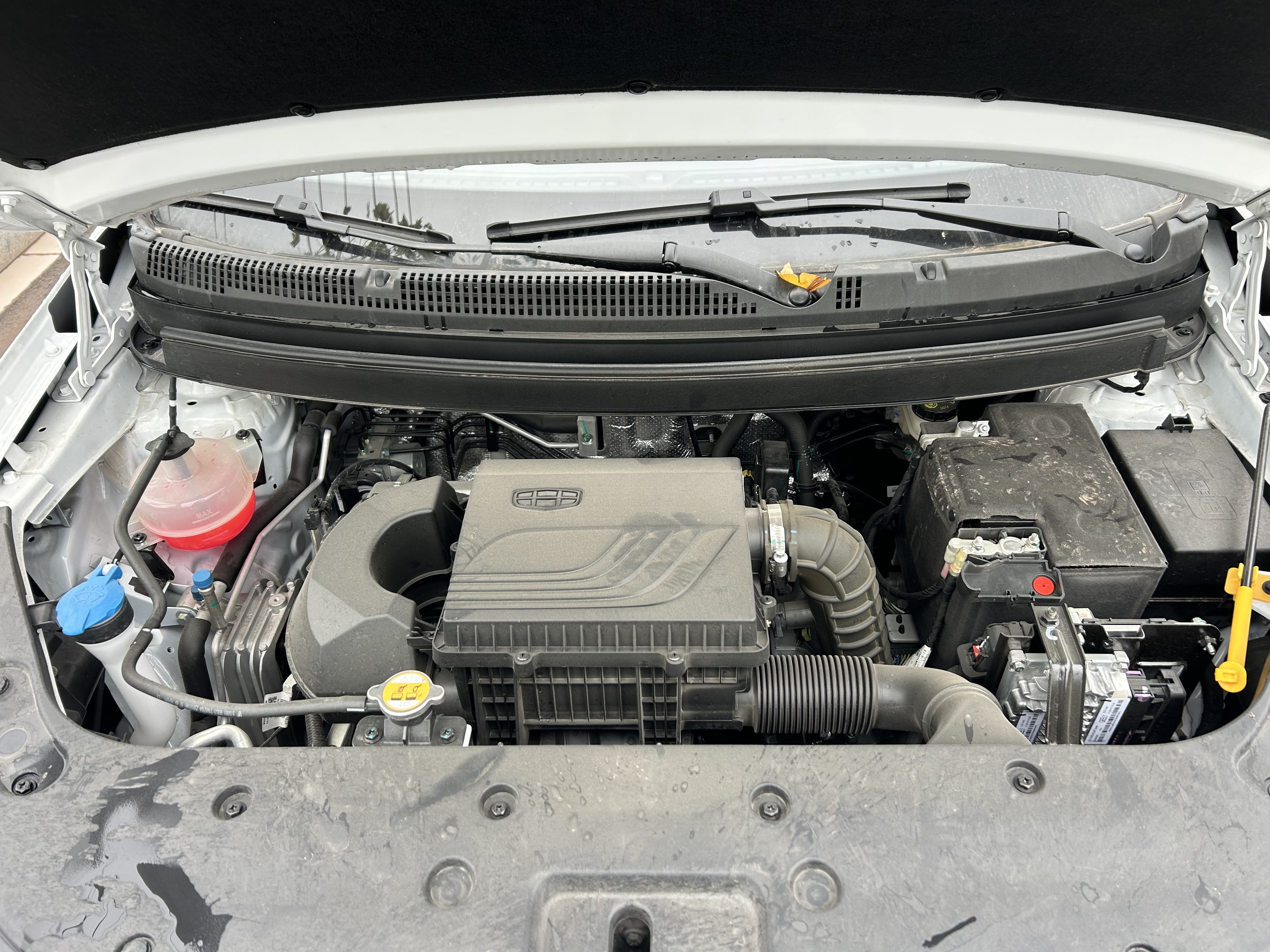 睿蓝汽车 睿蓝汽车X3 PRO 2025 汽车图片 #14