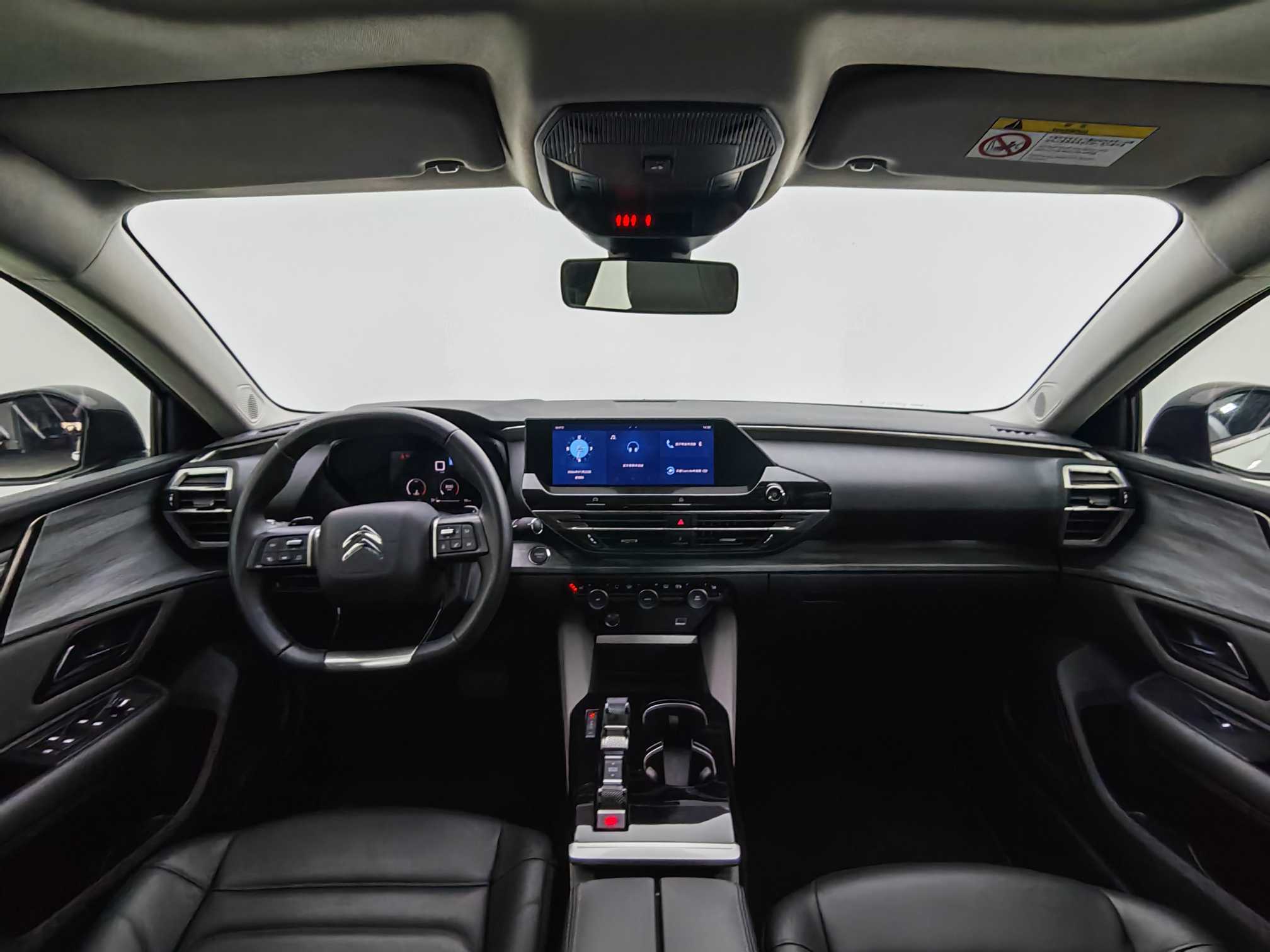 Citroen C5 X 2024 immagine di auto #14