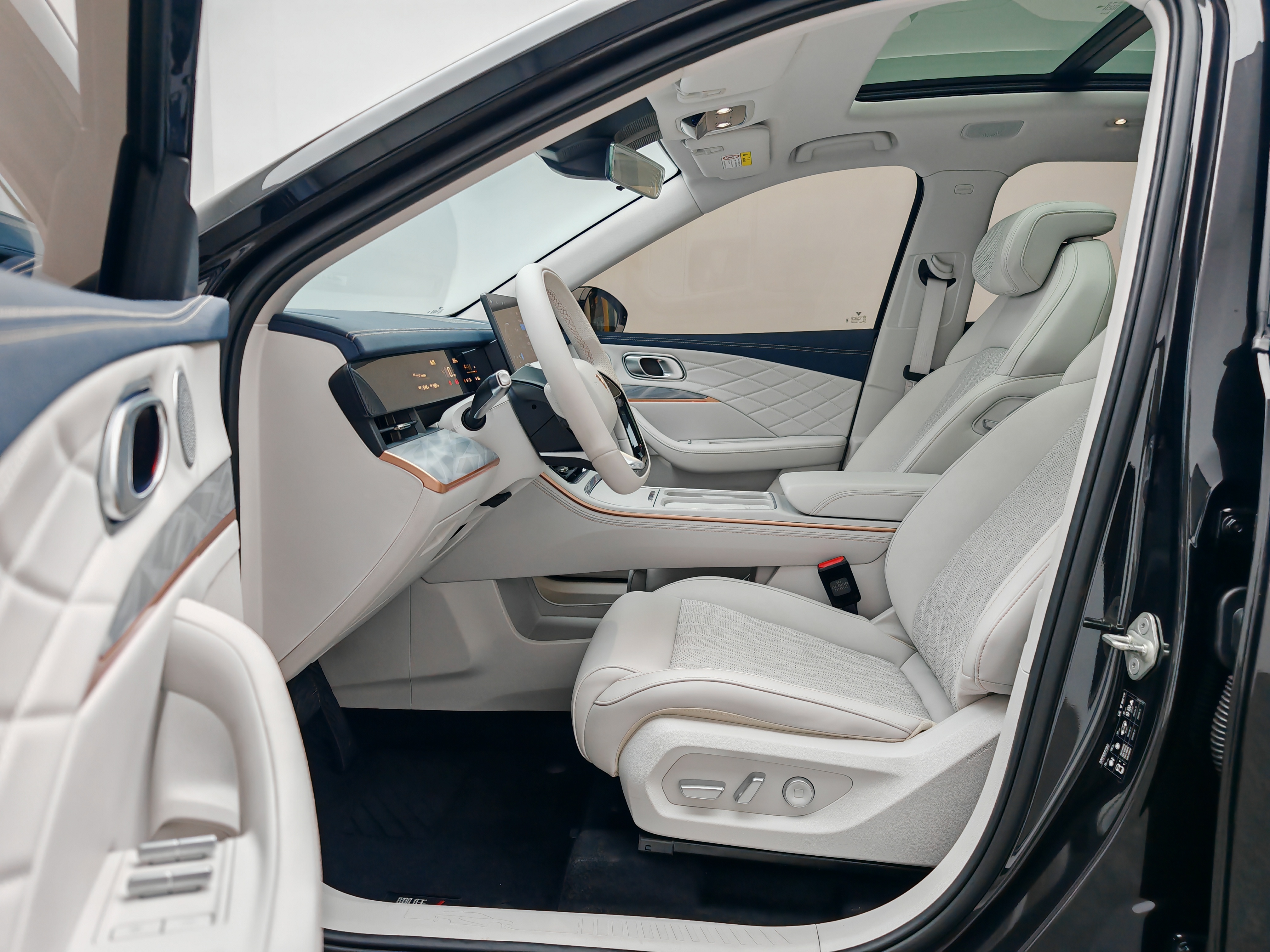 Neta L 2024 imagen de coche #14