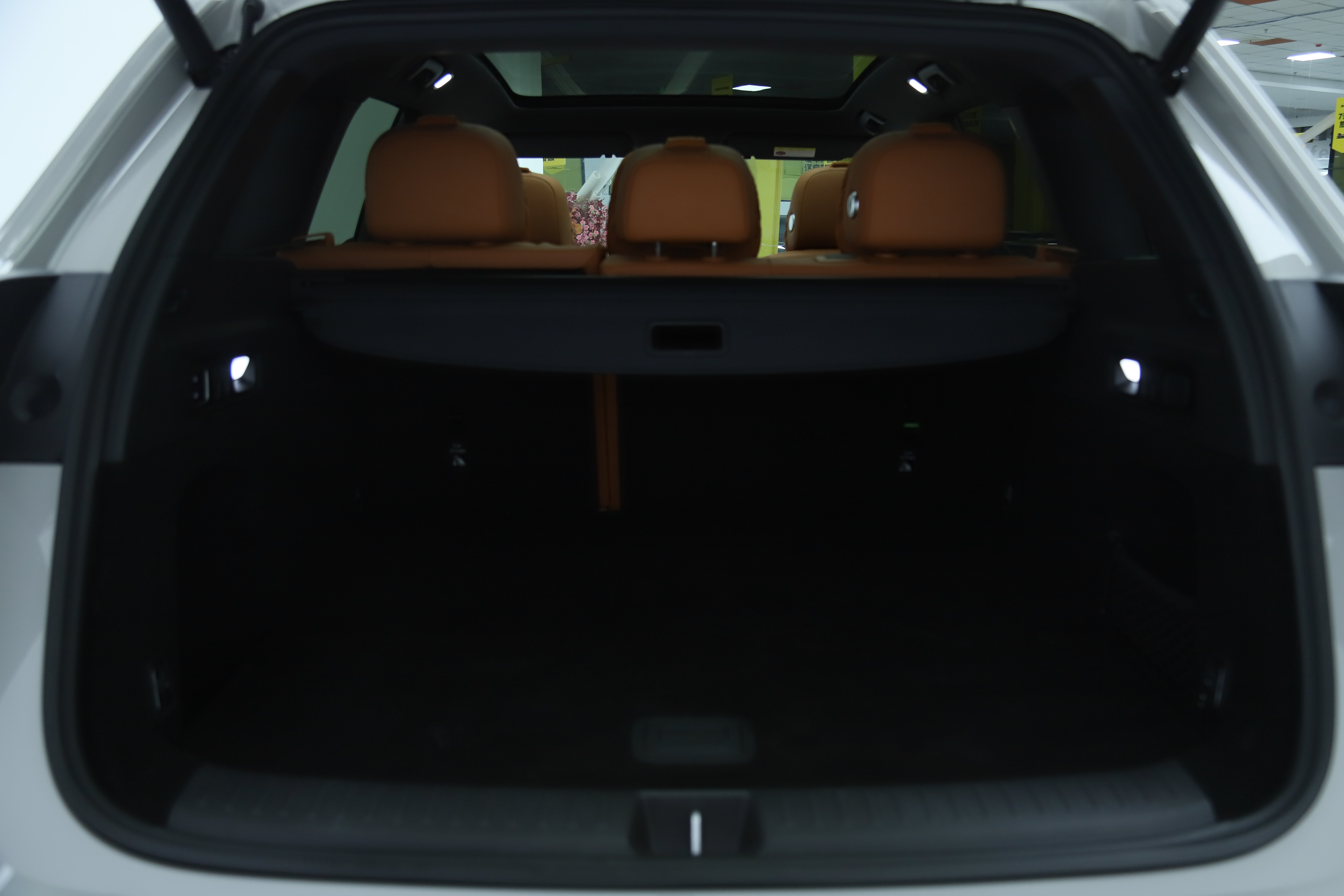 Li L6 2024 car image #14