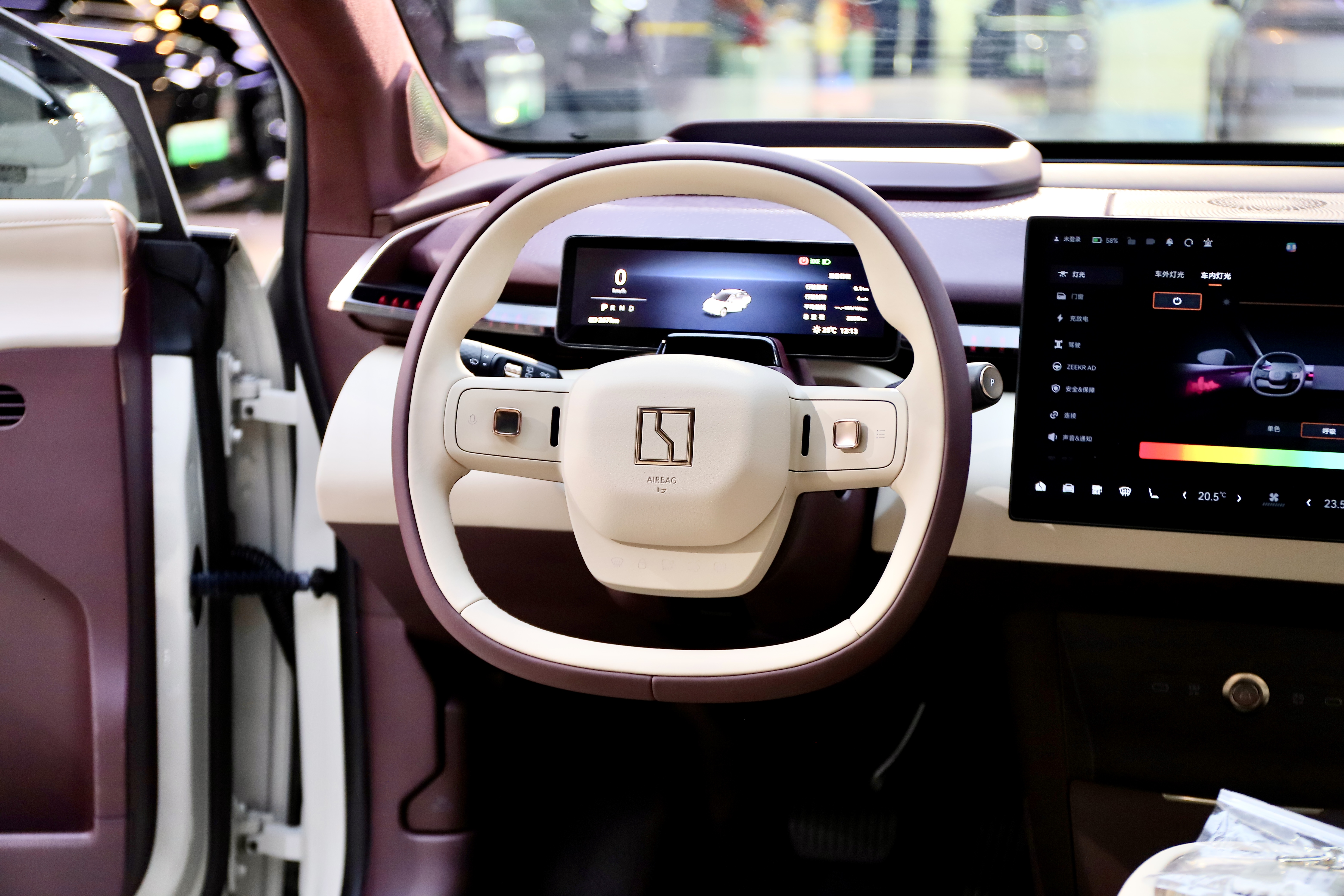 极氪 极氪X 2024 汽车图片 #14