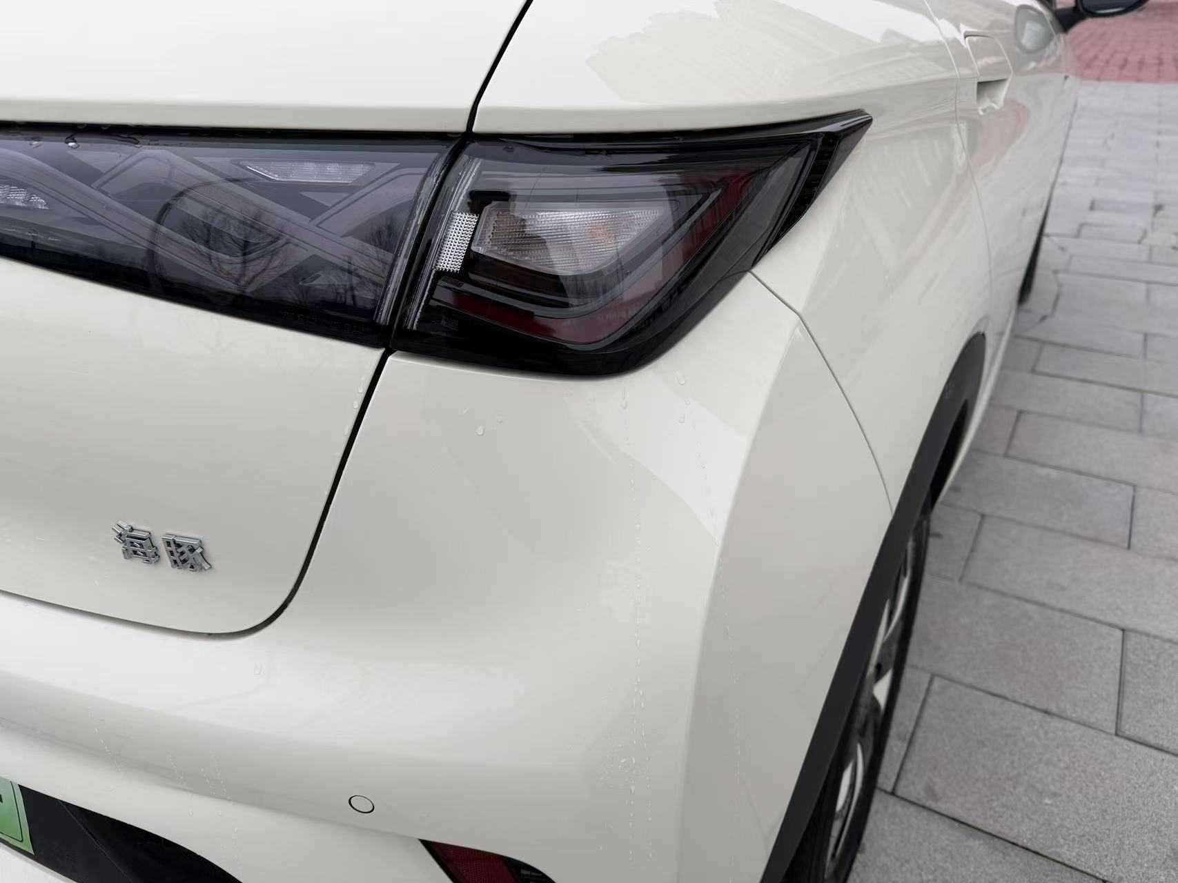 BYD Dolphin 2026 #14 BYD Dolphin 2026 car image #14