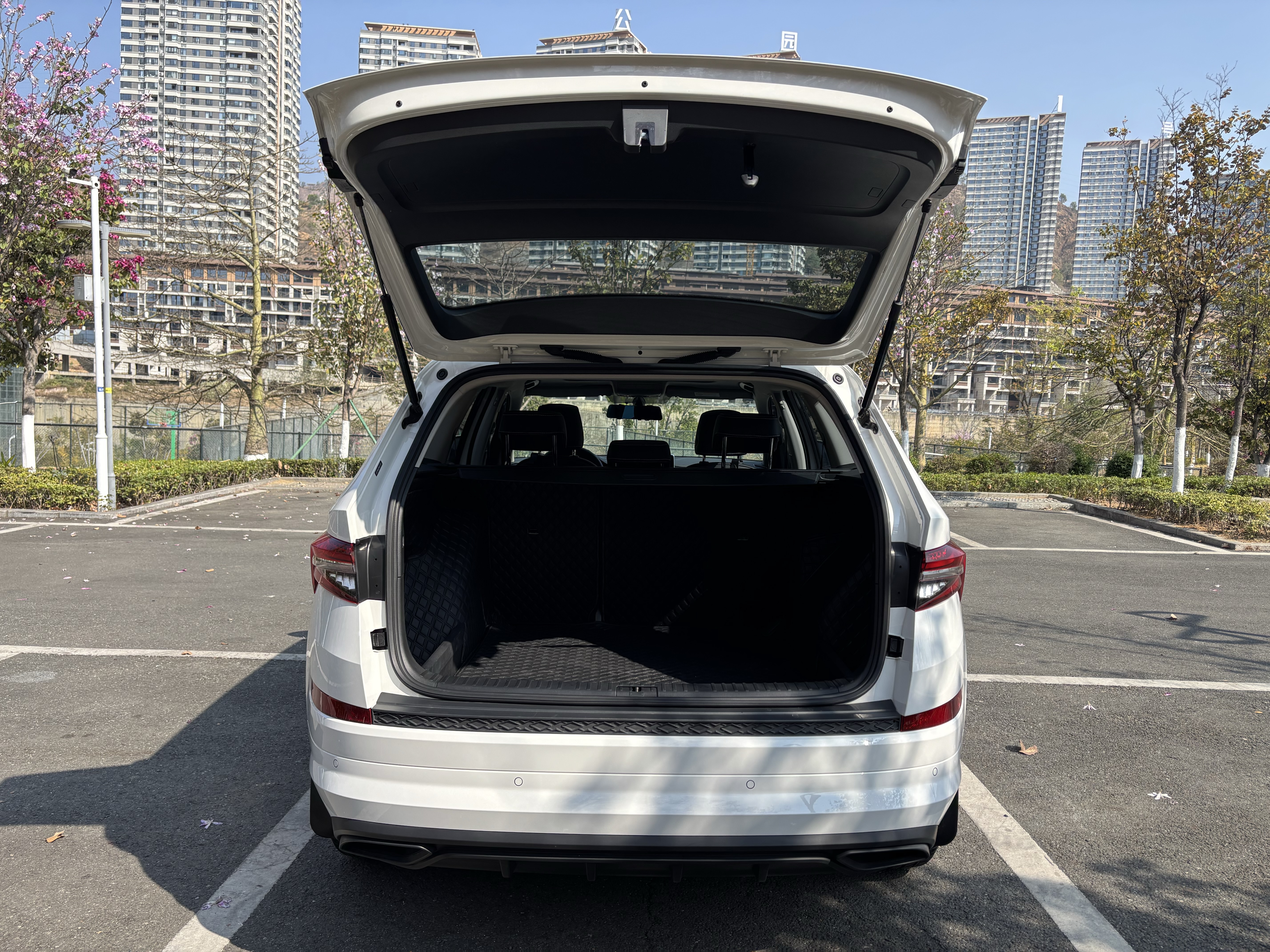 Skoda Kodiaq 2025 صورة سيارة #14