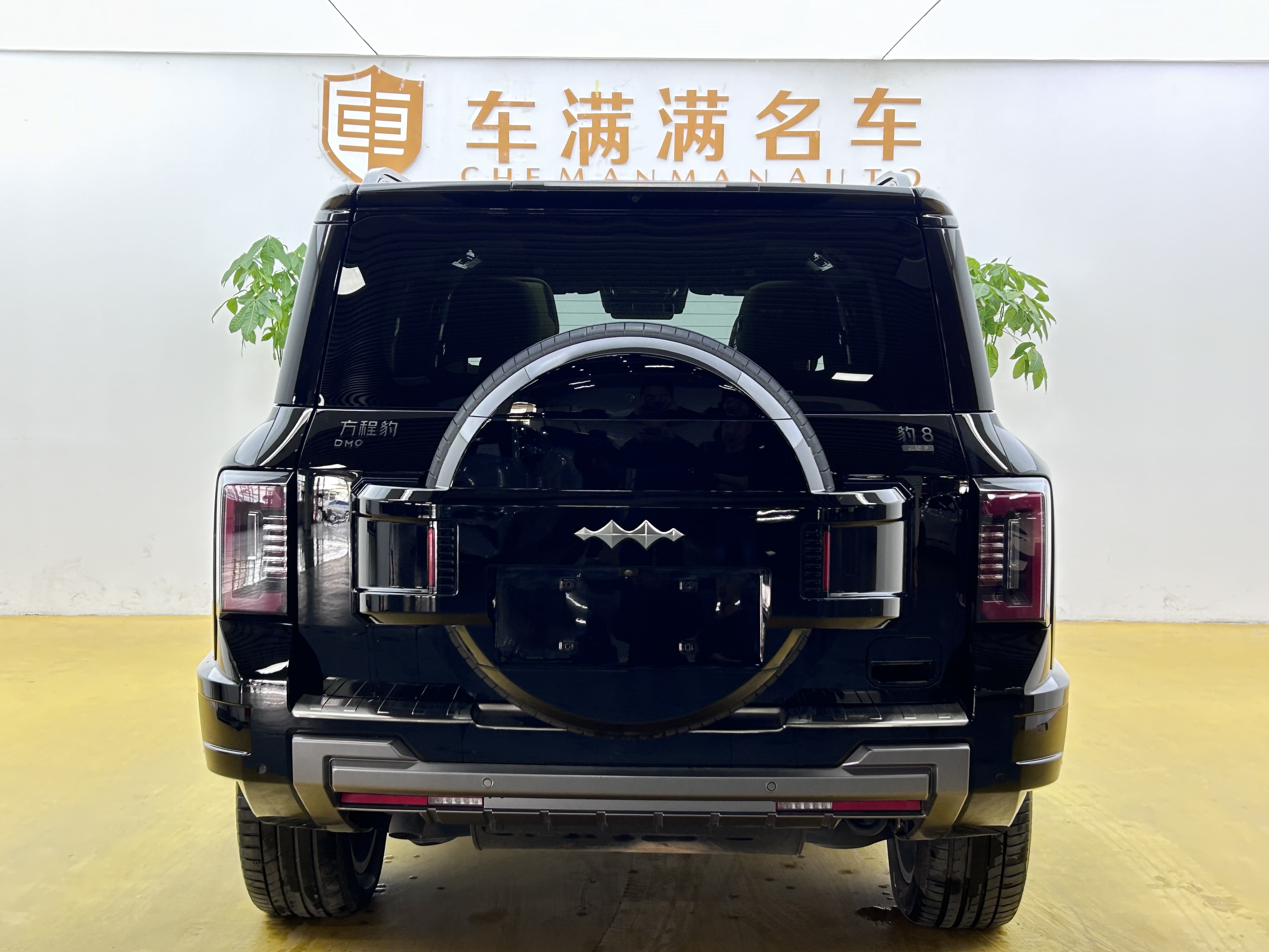 FangChengBao Leopard 8 2024 immagine di auto #14