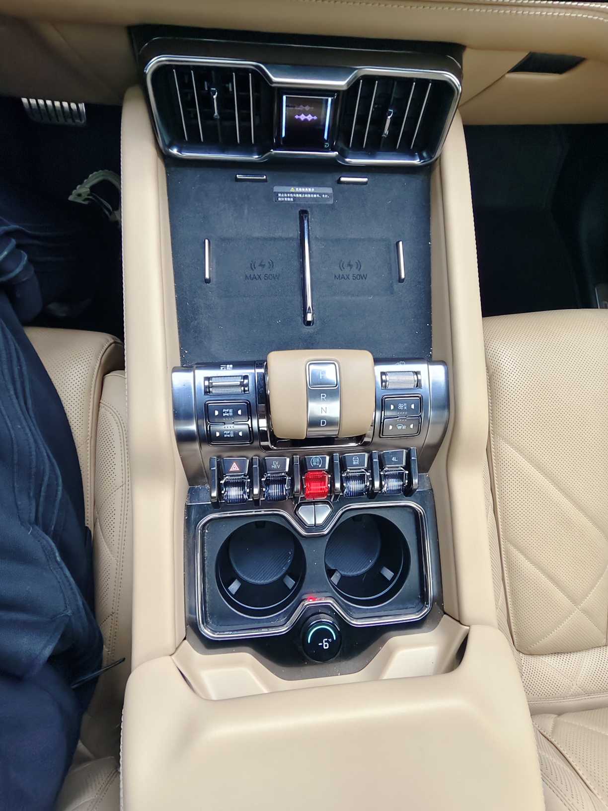 FangChengBao Leopard 8 2024 immagine di auto #14