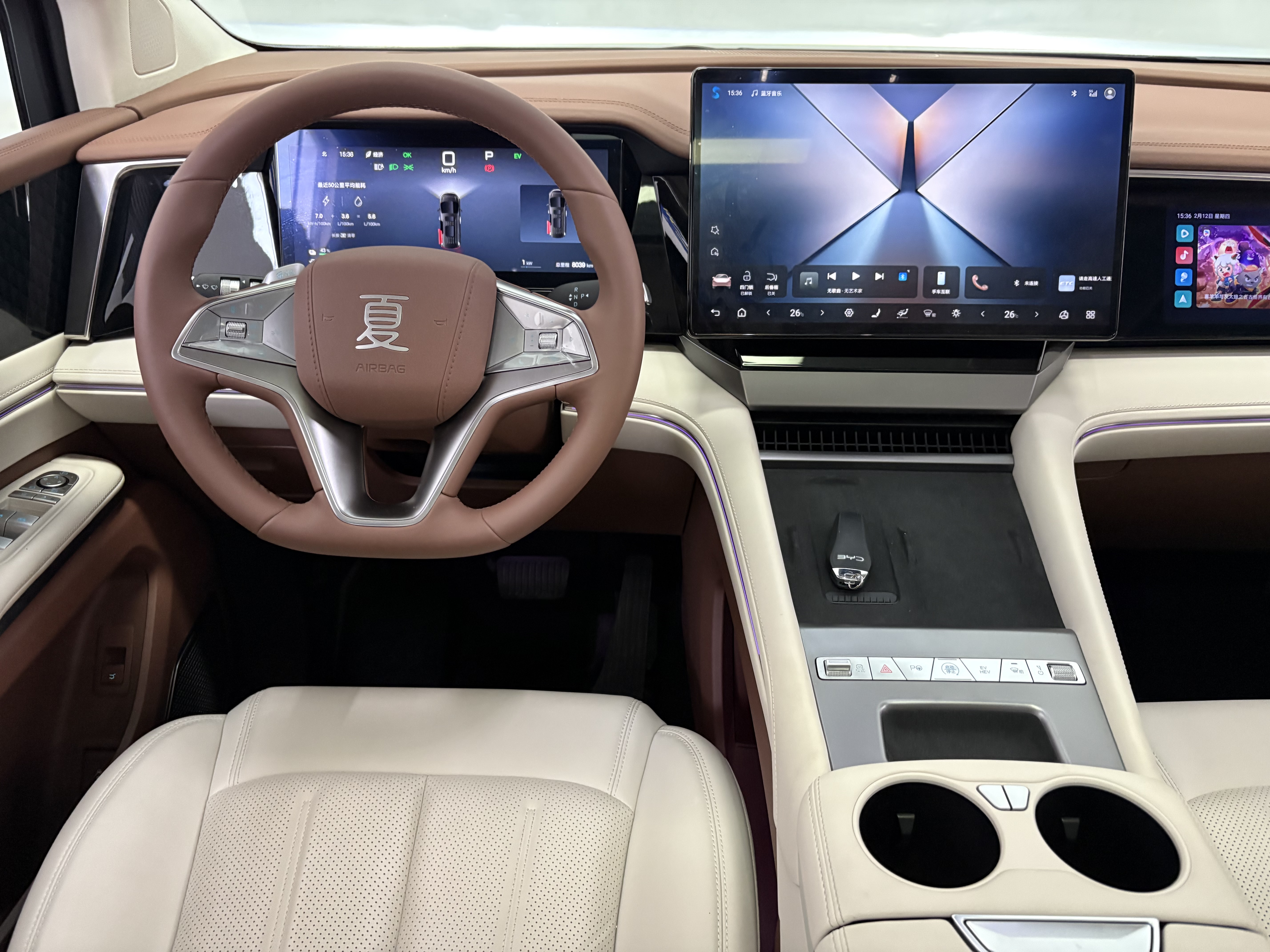 BYD Xia 2025 imagen de coche #14