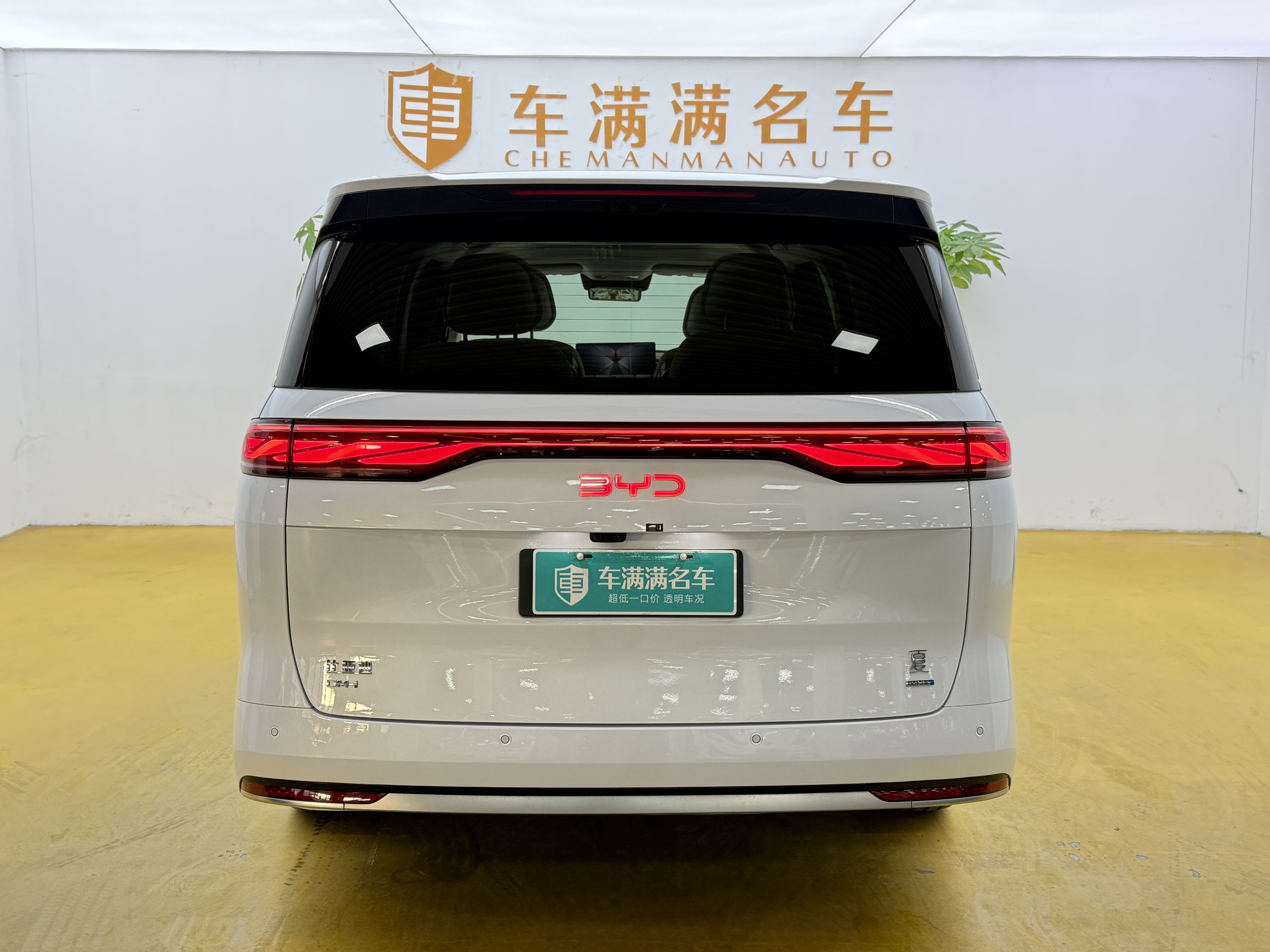 BYD Xia 2025 immagine di auto #14