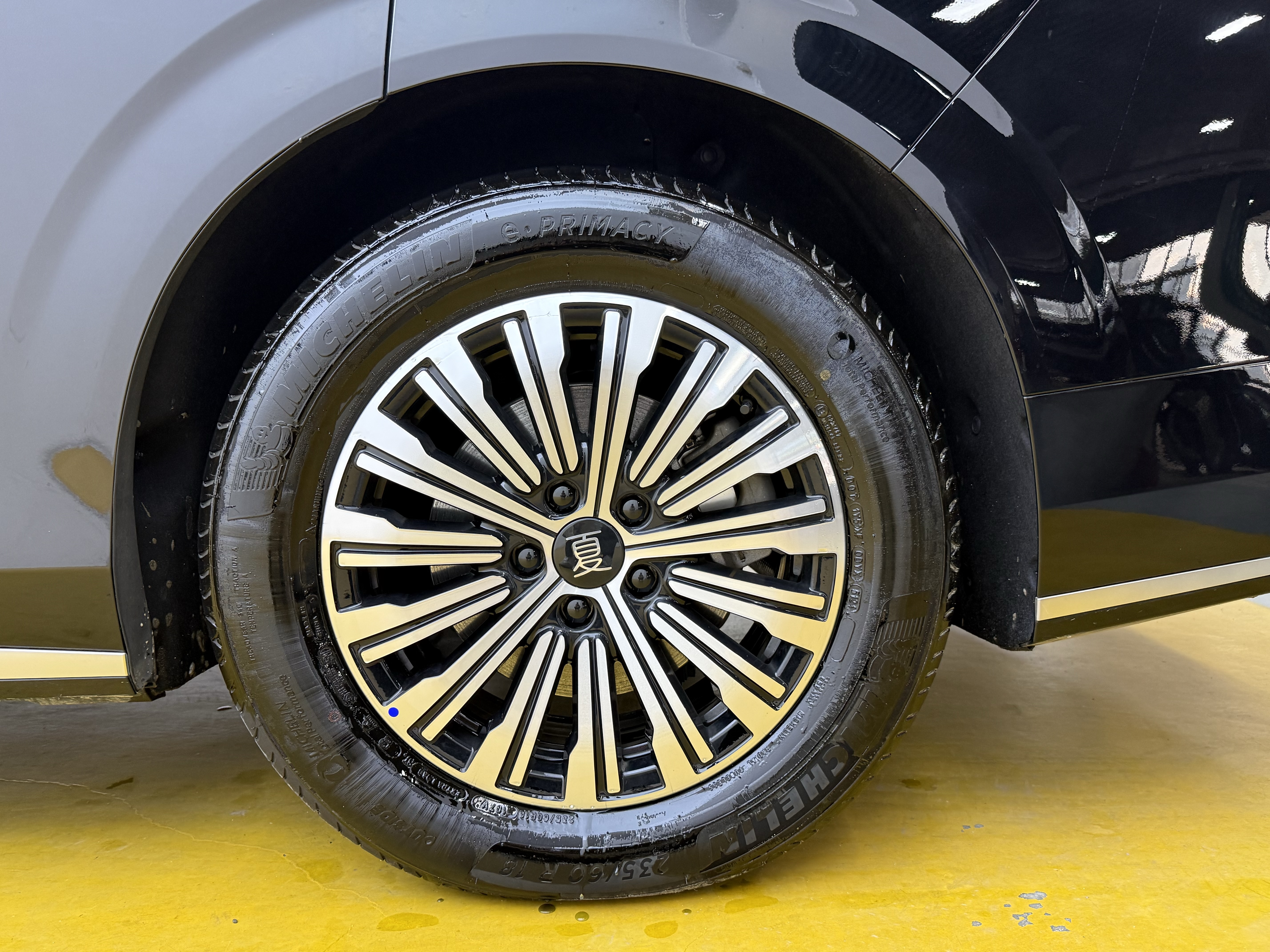 BYD Xia 2025 #14 BYD Xia 2025 immagine di auto #14