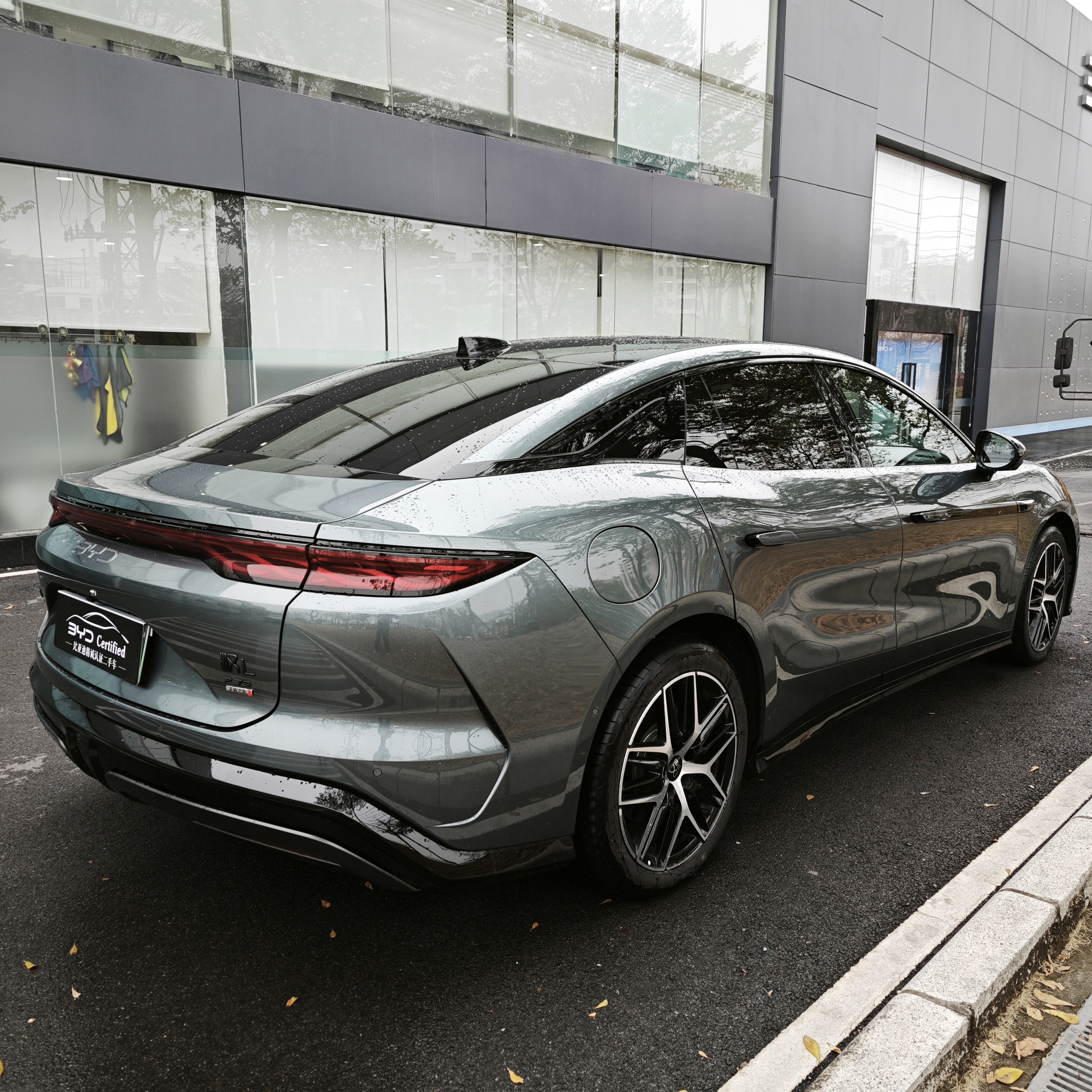 BYD HanL 2025 صورة سيارة #14