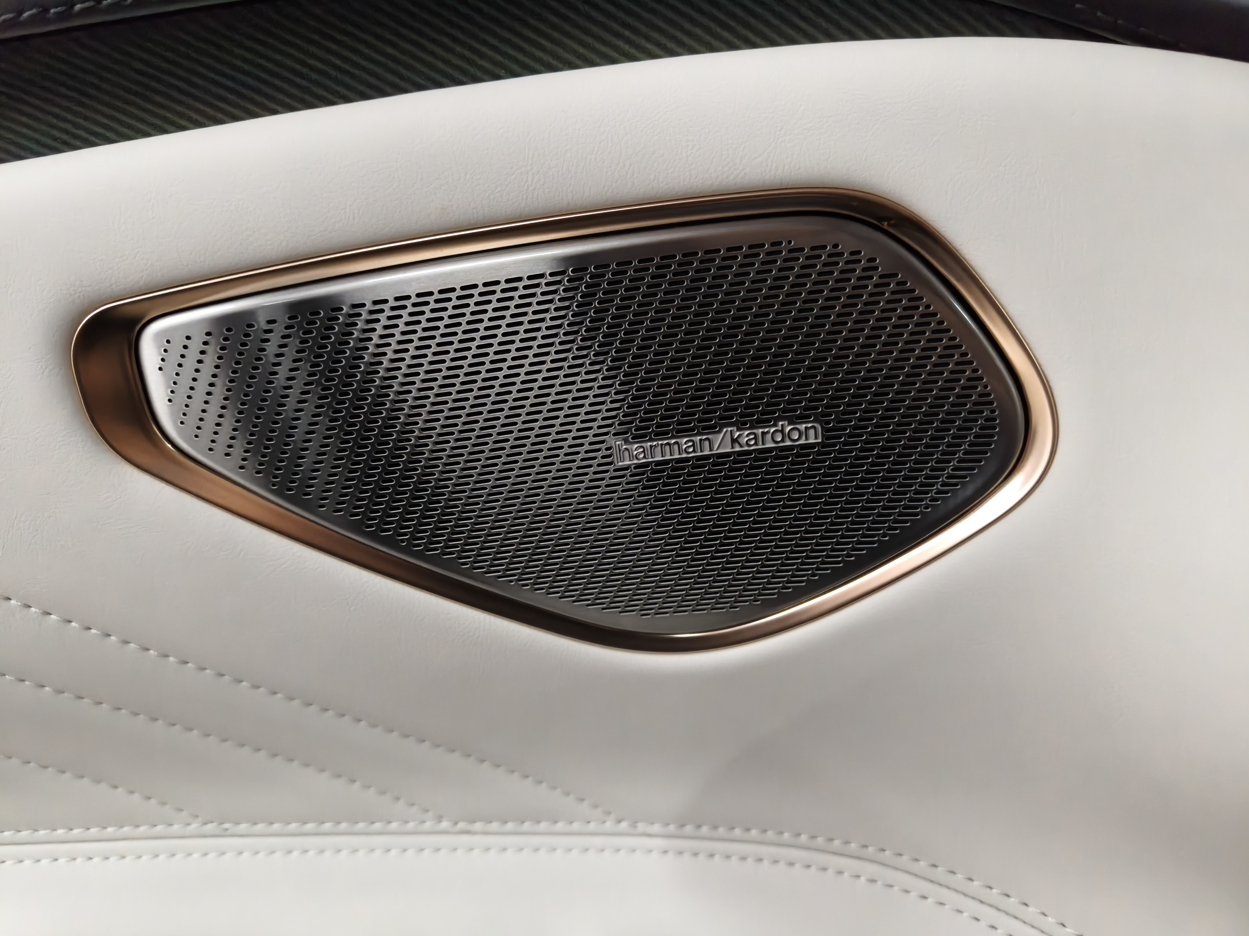 Lynk & Co 10 EM-P 2025 car image #14