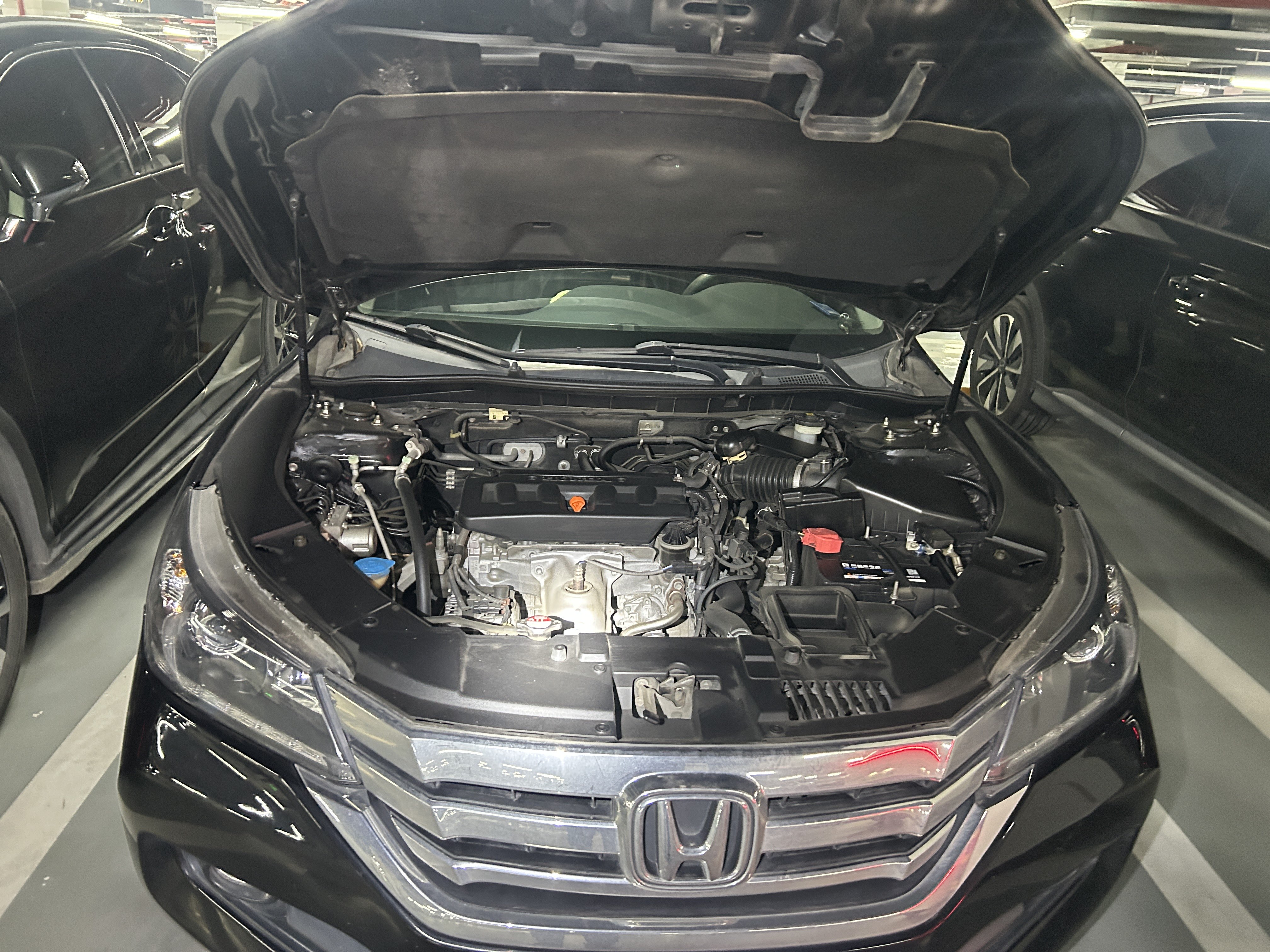 Honda Accord 2014 car image #14