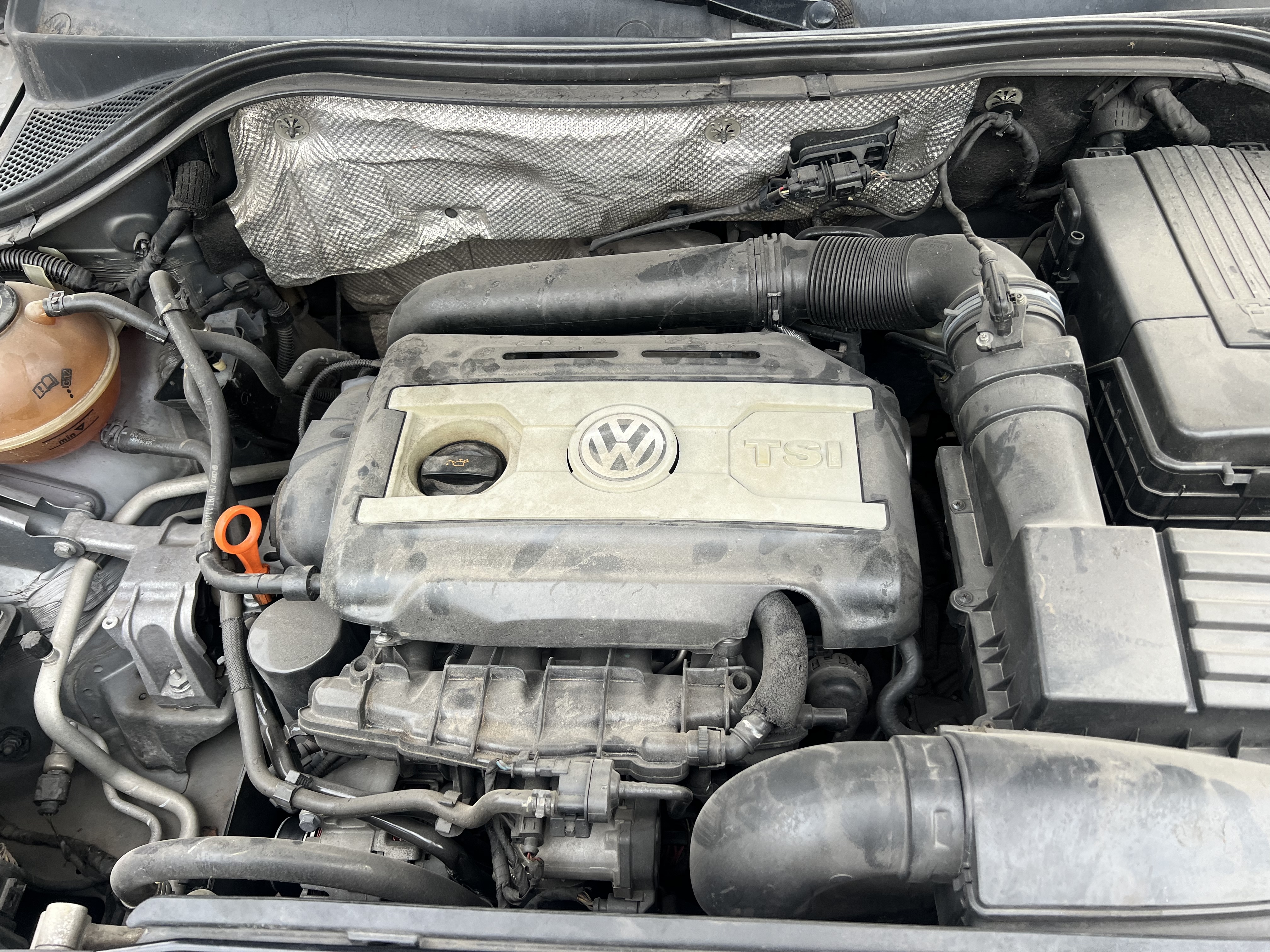 Volkswagen Tiguan 2011 immagine di auto #14