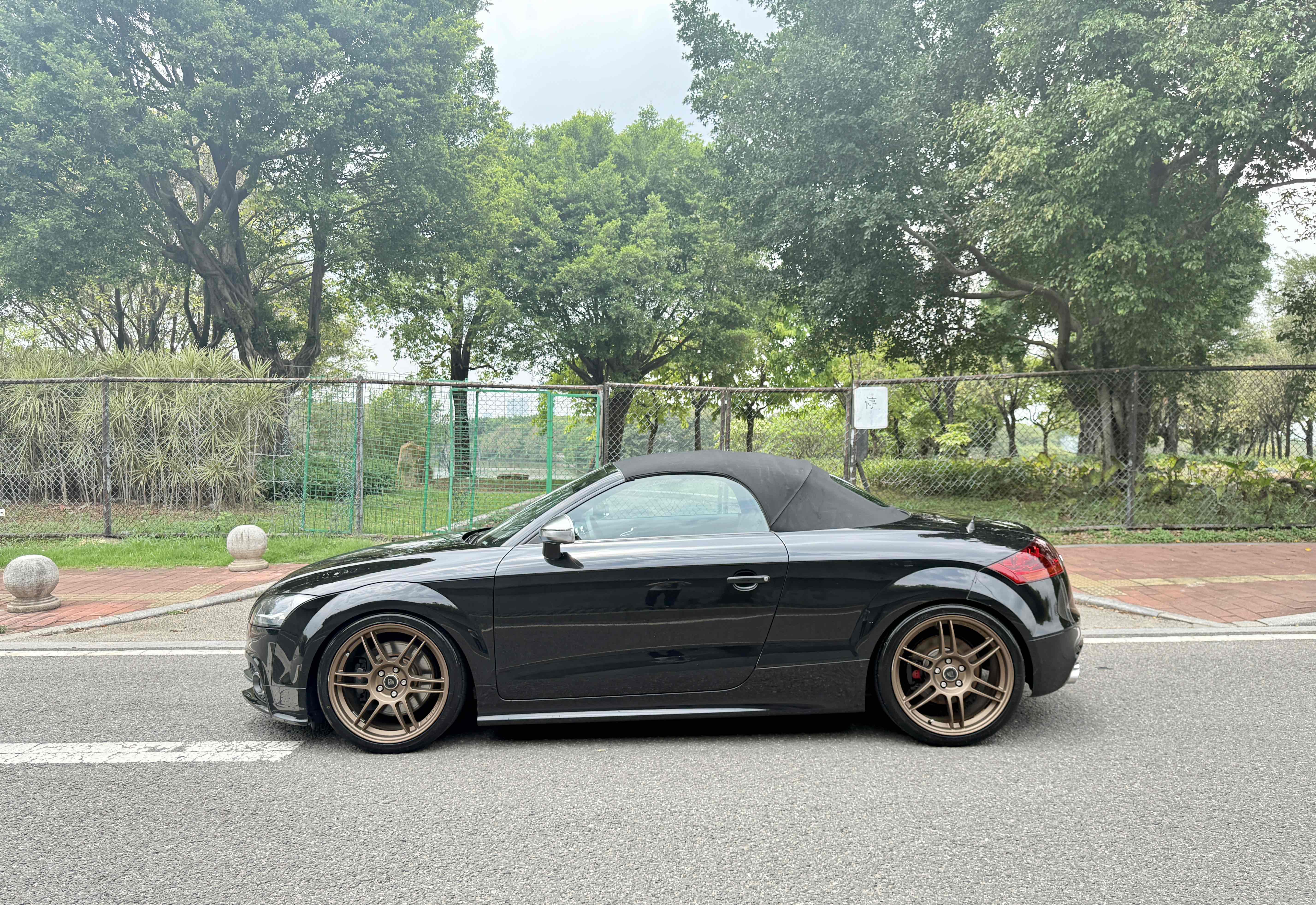 Audi TTS 2011 car image #14