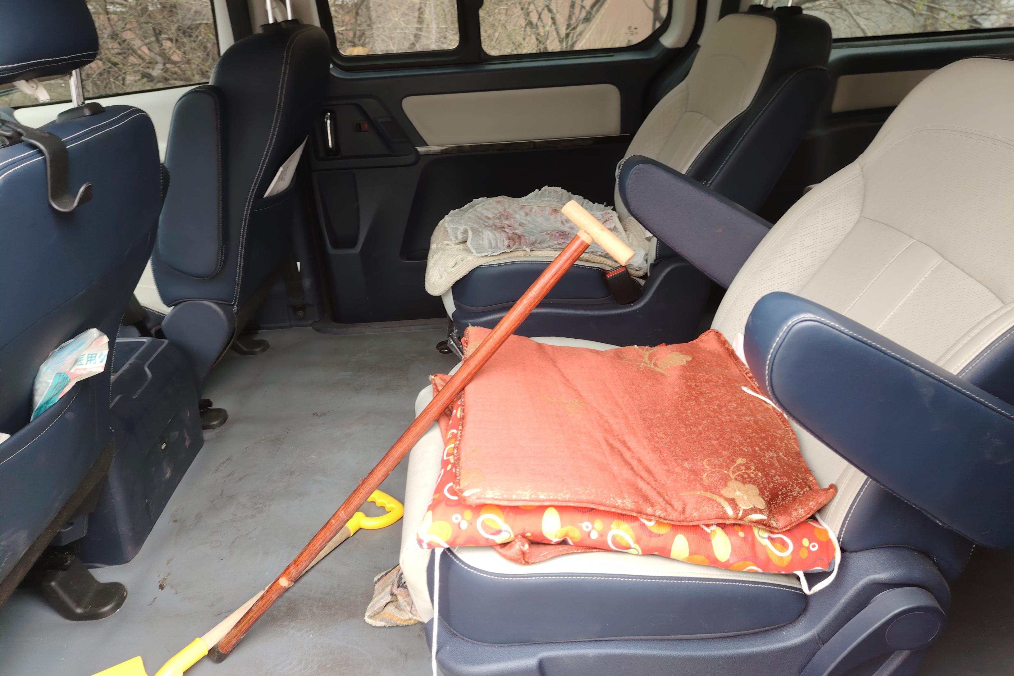 Forthing Lingzhi PLUS 2023 car image #14