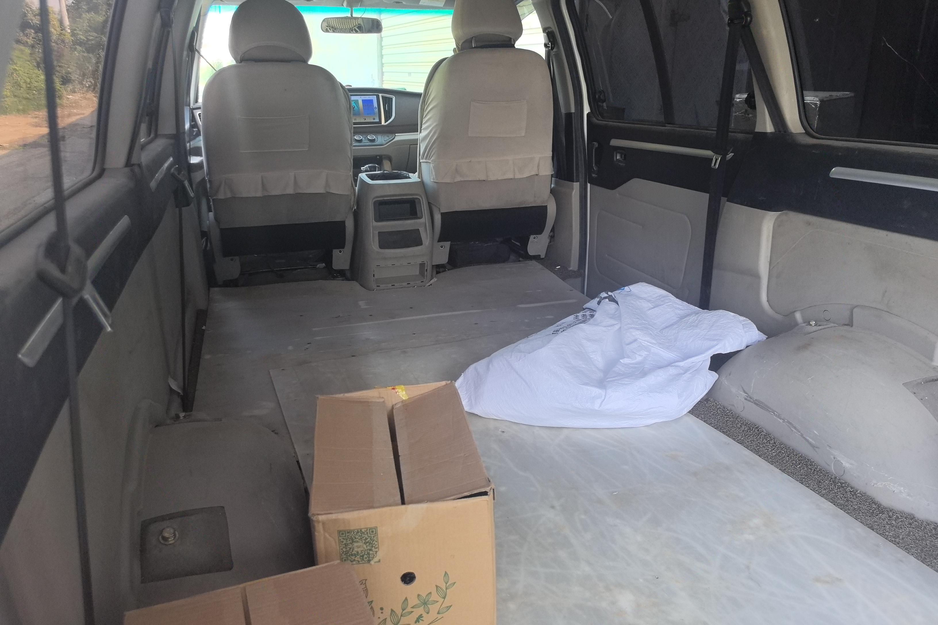 Forthing Lingzhi EV 2017 image de voiture #14