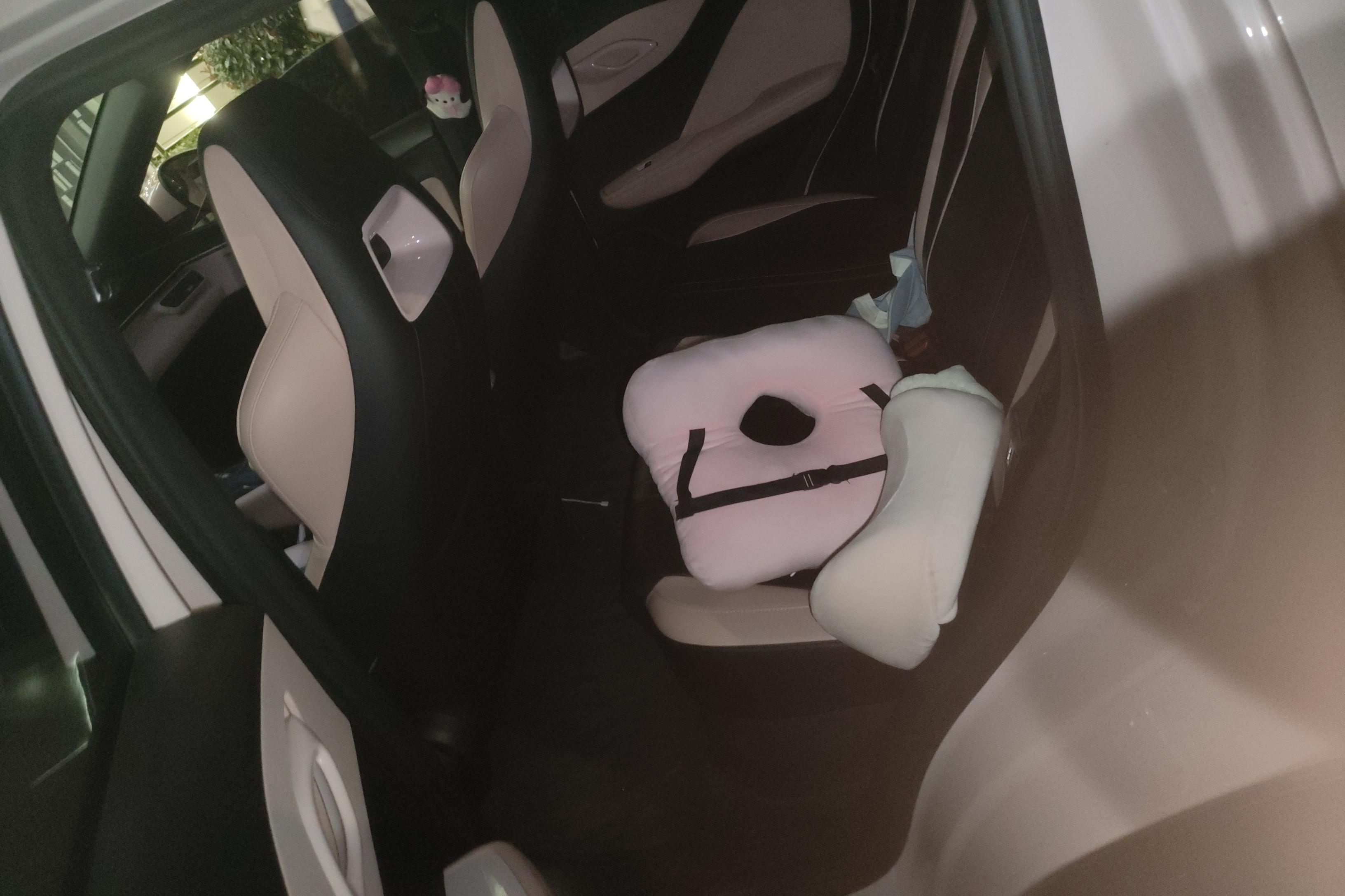 BYD Xia 2023 car image #14