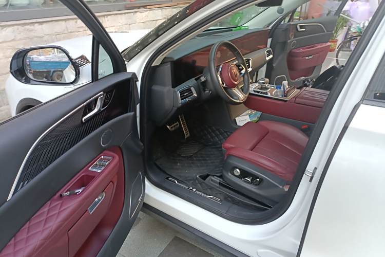 HongQi E-HS9 2023 car image #14