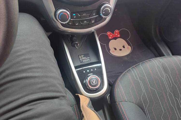 Changan BenBen EV 2019 car image #14