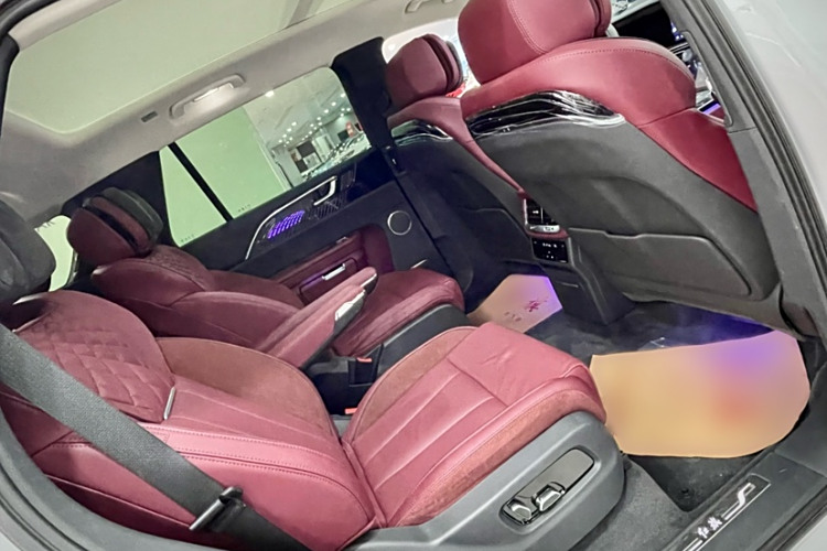 HongQi E-HS9 2024 car image #14