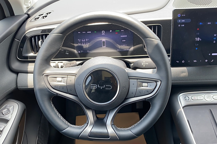 BYD Sea Lion 05 EV 2025 car image #14