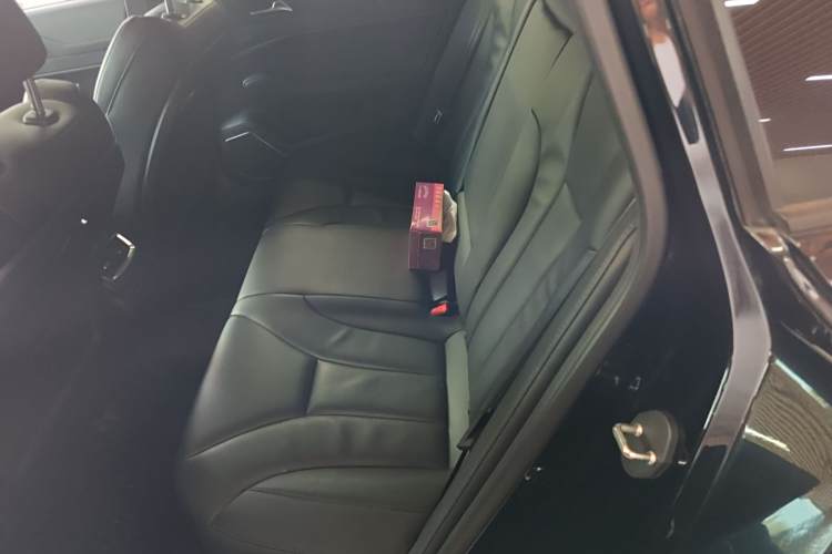 HongQi S9 2021 car image #14