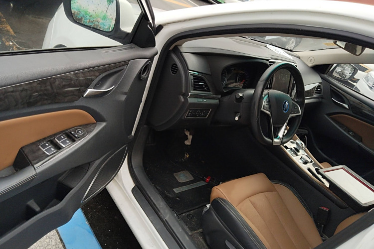 BYD Qin New Energy 2018 car image #14