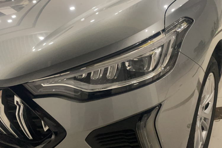 Haval Rabbit 2024 car image #14