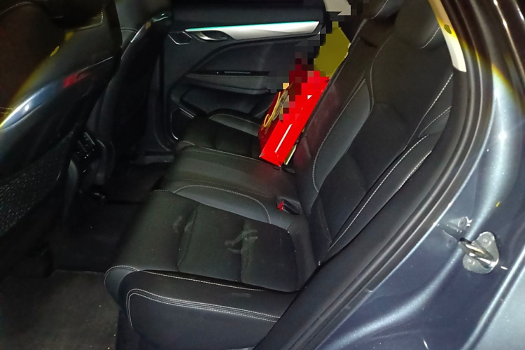 GEELY Tugella New Energy 2019 car image #14