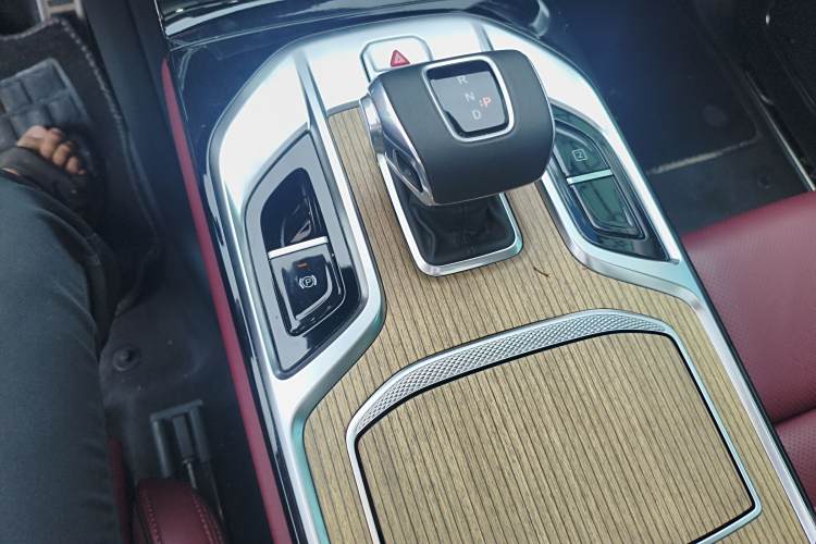 HongQi E-HS9 2023 immagine di auto #14