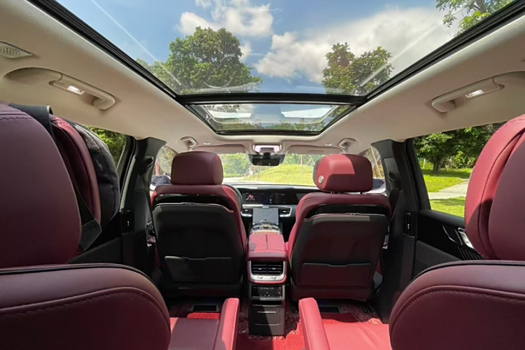 HongQi E-HS9 2021 immagine di auto #14