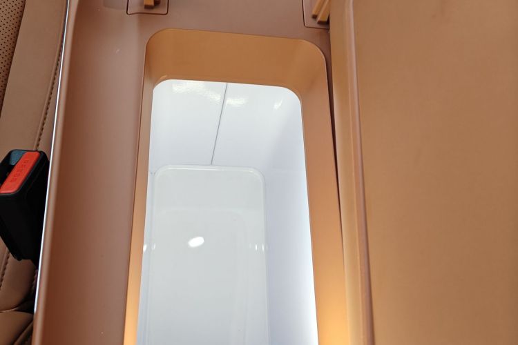 Neta L 2024 imagen de coche #14