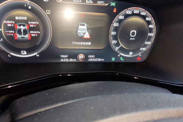 GEELY Tugella New Energy 2020 car image #14