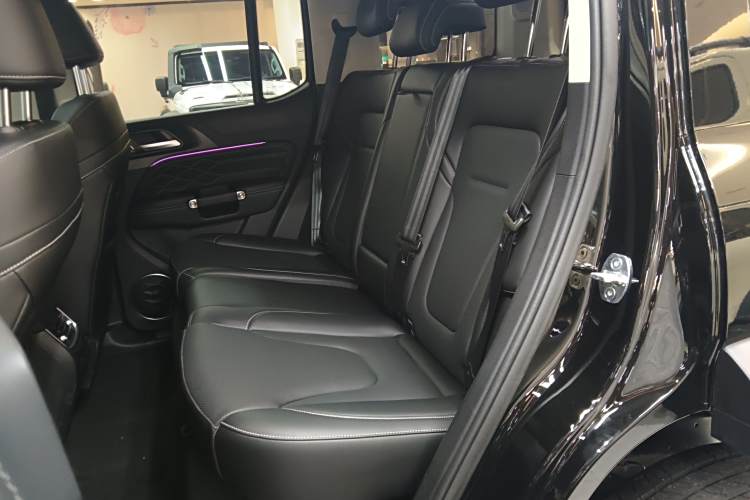 Tank 300 New Energy 2025 car image #14