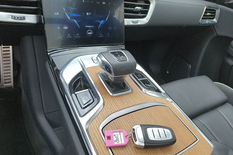 HongQi E-HS9 2023 #14 HongQi E-HS9 2023 car image #14