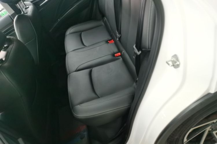 Neta AYA 2024 #14 Neta AYA 2024 immagine di auto #14