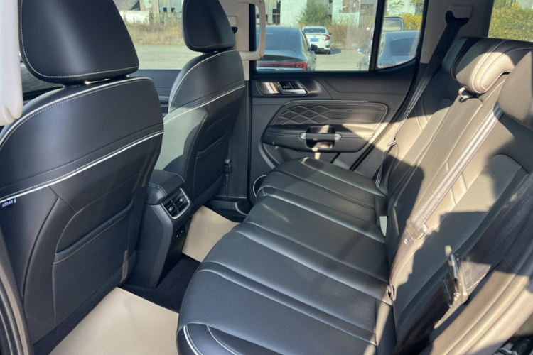 Tank 300 New Energy 2024 #14 Tank 300 New Energy 2024 immagine di auto #14