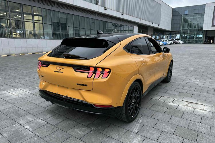 Ford Mustang Mach-E 2023 car image #14