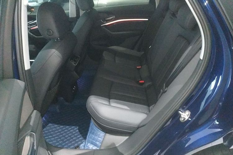 Audi e-tron (Imported) 2022 car image #14