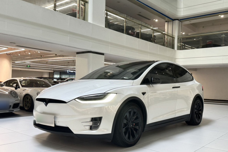 Tesla Model X 2019 car image #14