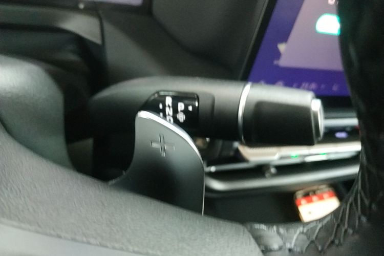 Tank 300 New Energy 2025 car image #14