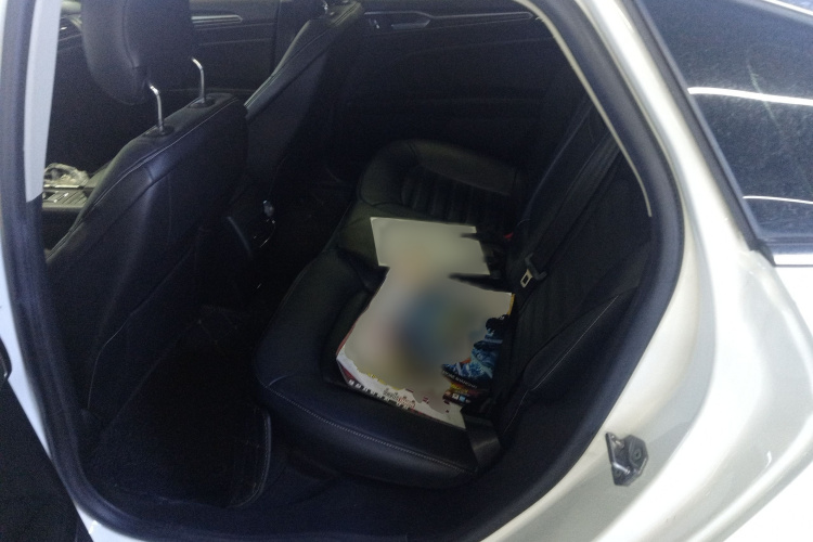 Ford Mondeo New Energy 2019 car image #14